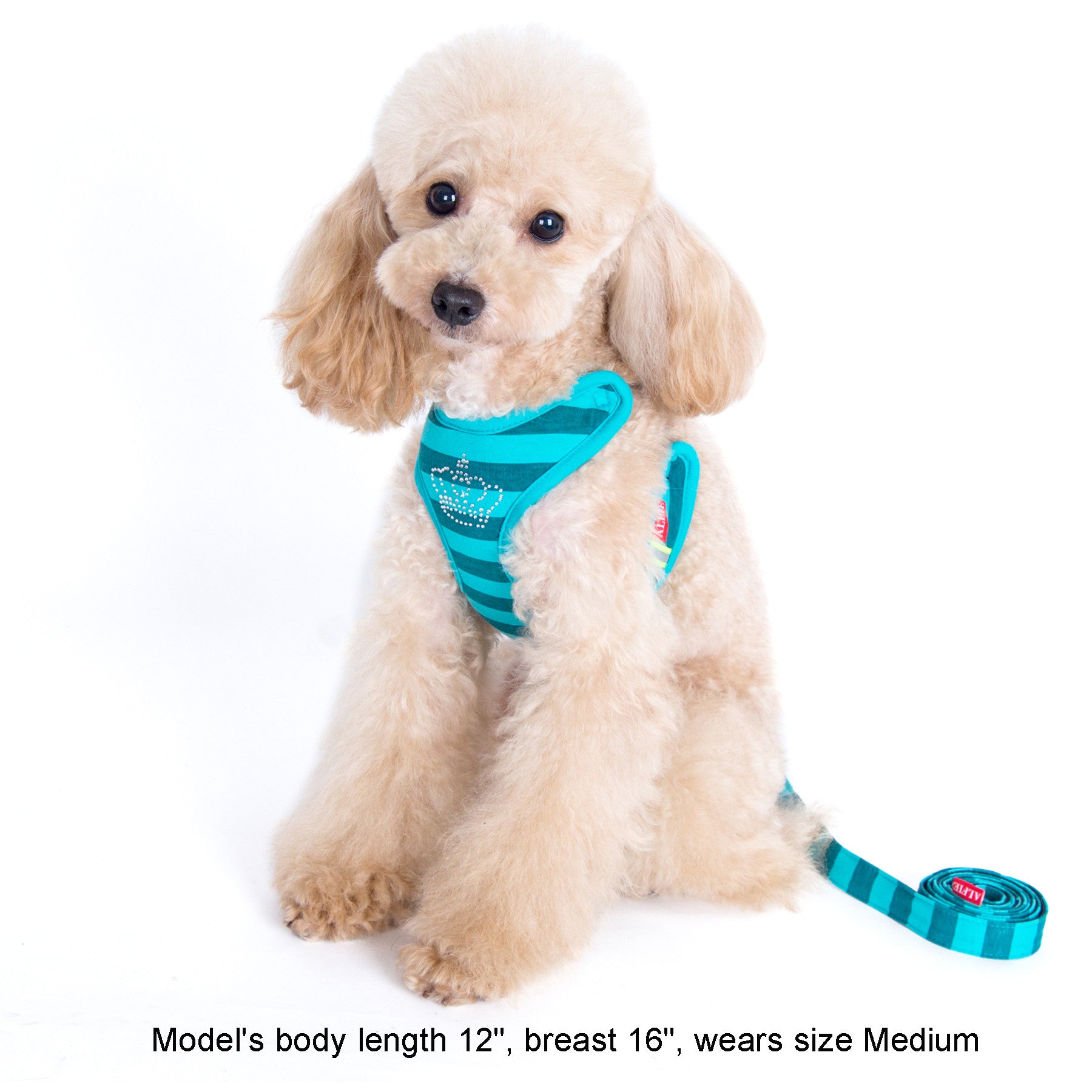 Alixis Step-in Harness and Leash Set