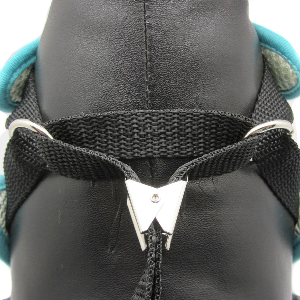 Alixis Step-in Harness and Leash Set