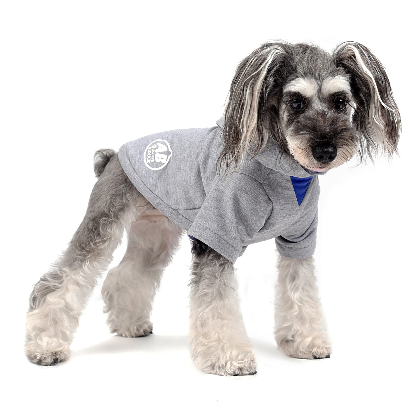 Issac Active Hoodie Blue