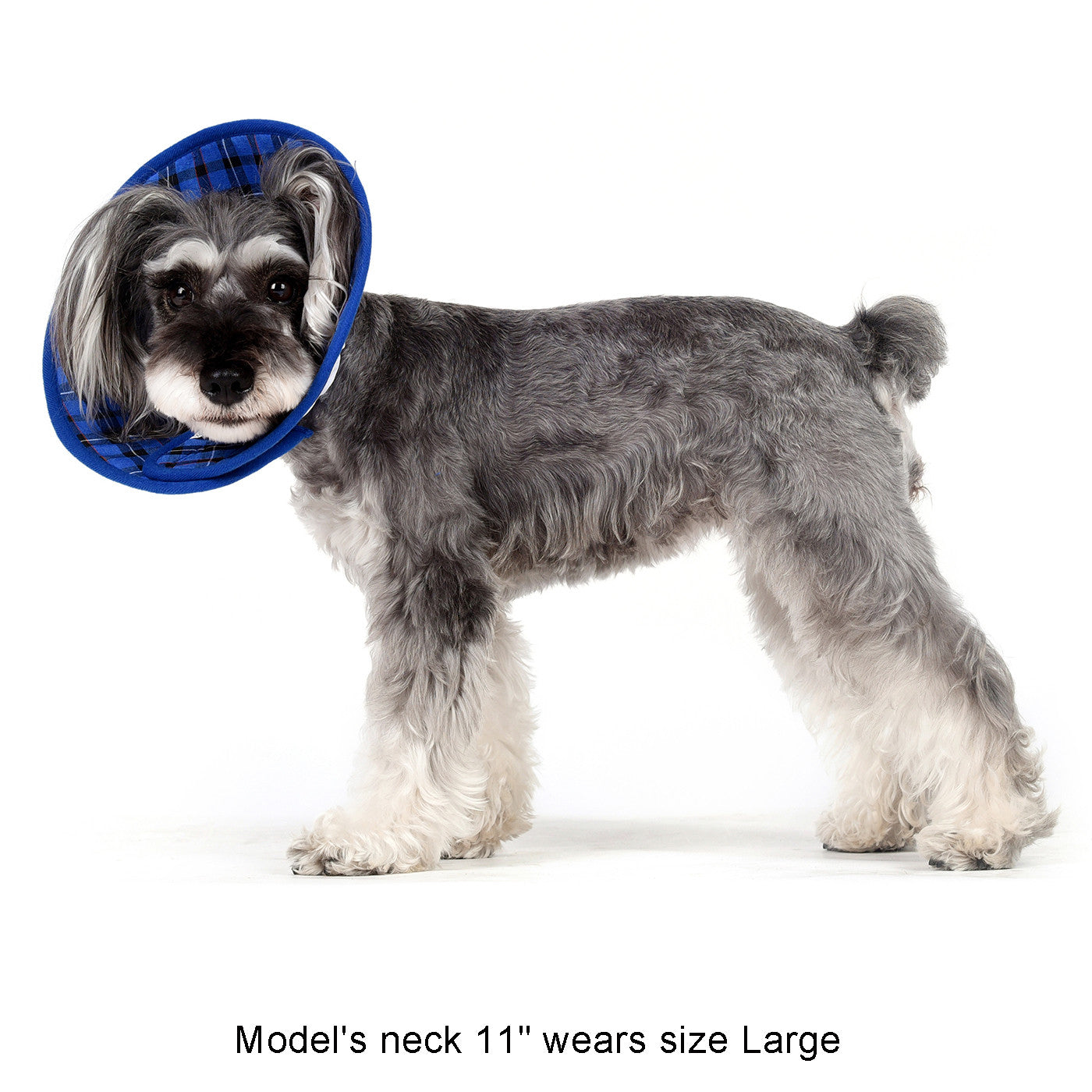 Candace Soft Recovery Collar Blue