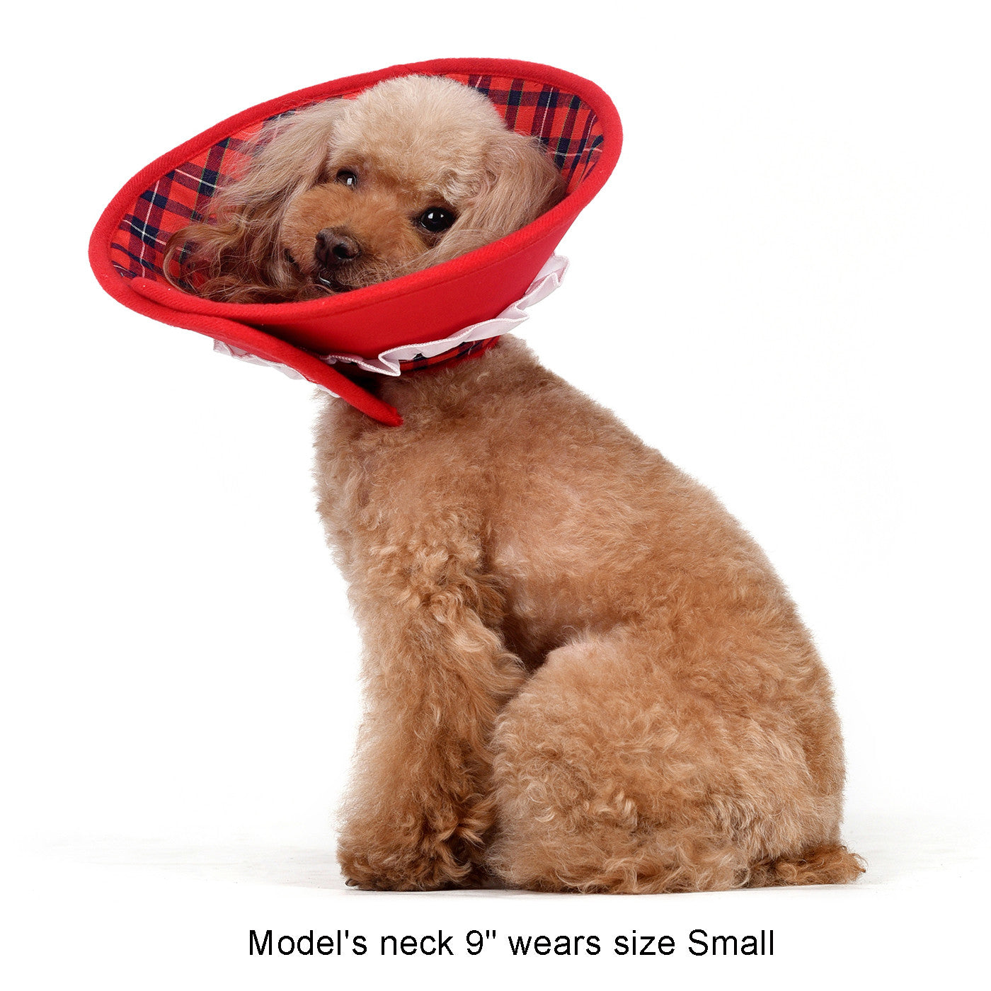 Candace Soft Recovery Collar Red