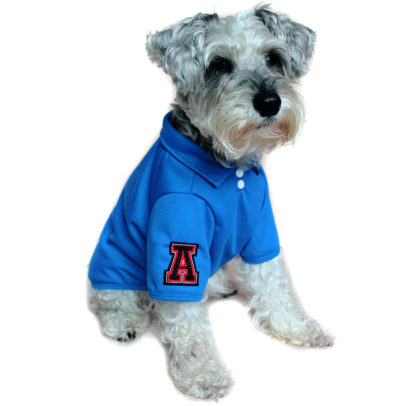 Fitch Solid Polo Shirt Blue