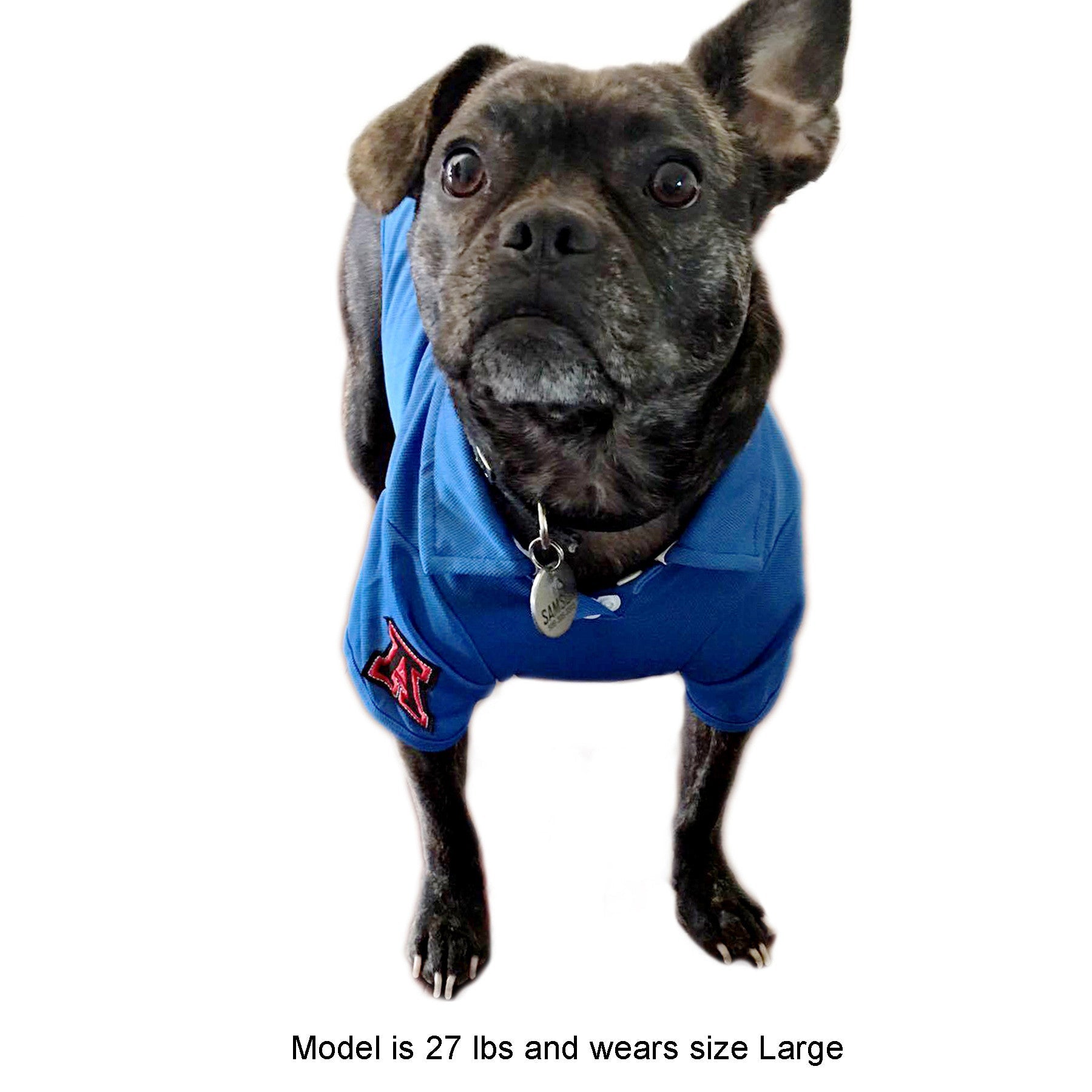 Fitch Solid Polo Shirt Blue