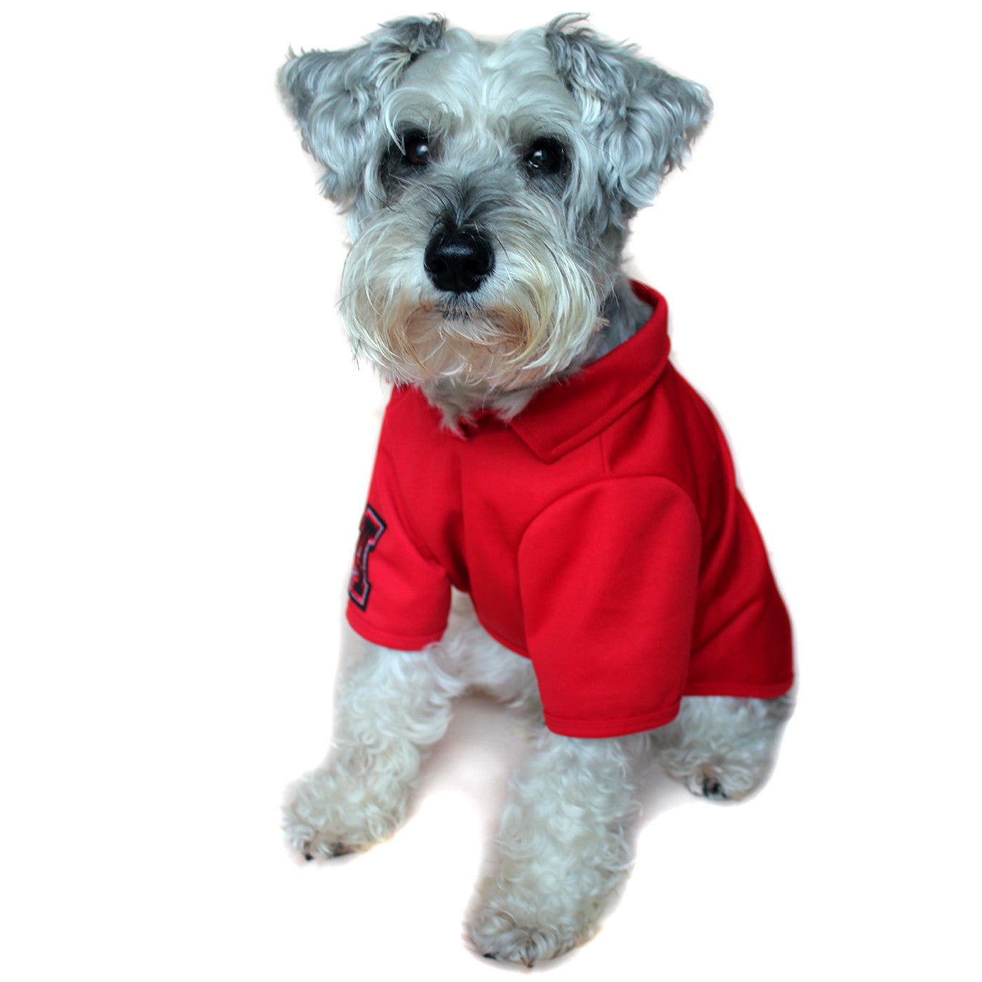 Fitch Solid Polo Shirt Red