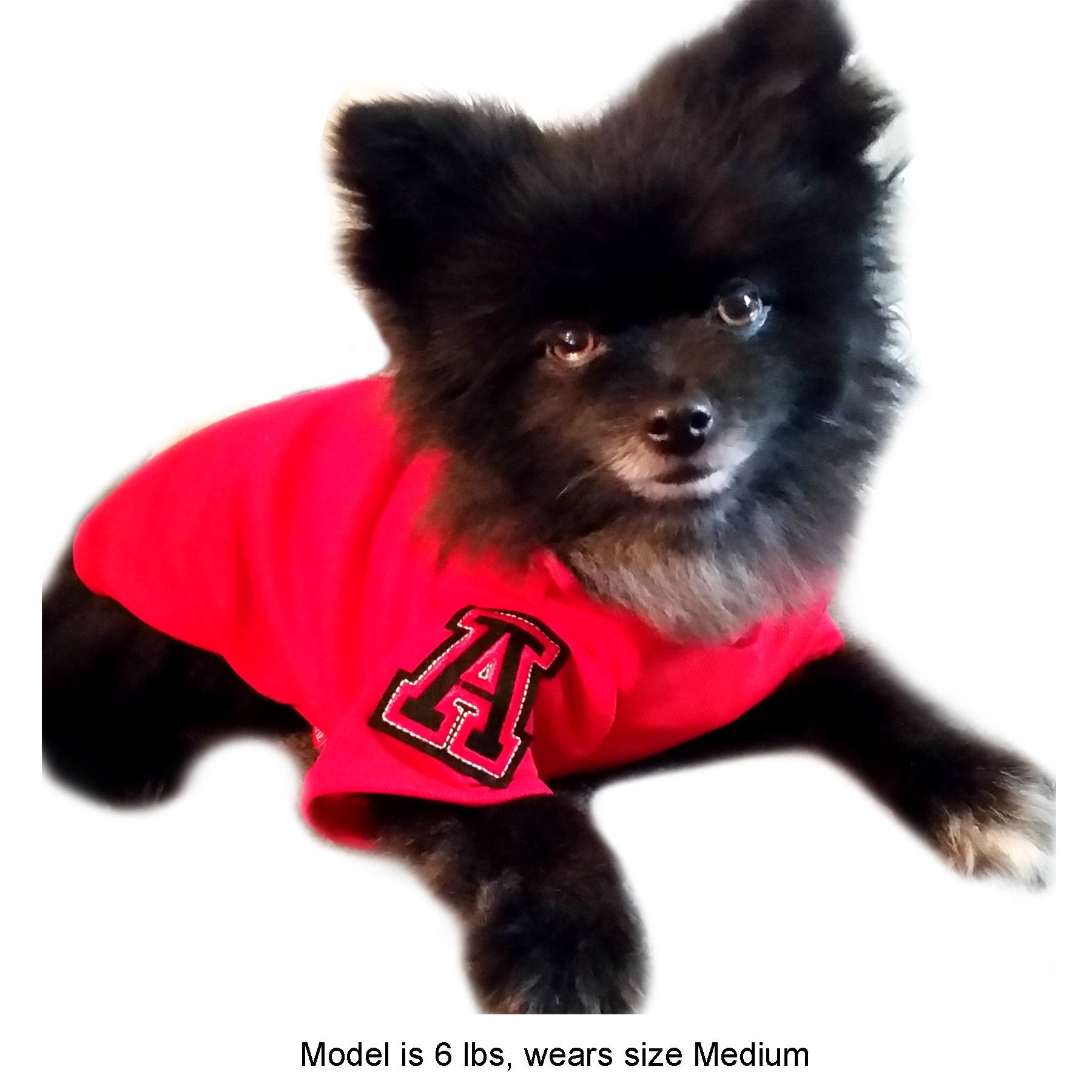 Fitch Solid Polo Shirt Red