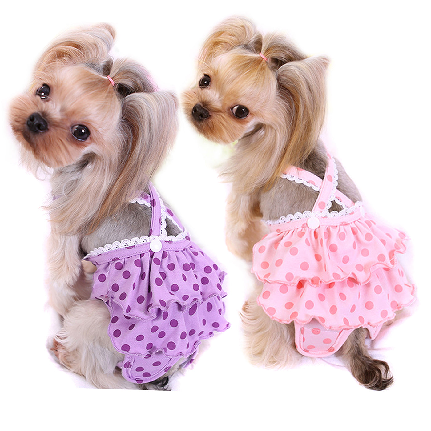 Frona 2-Piece Diaper Dog Sanitary Pantie with Suspender - Pink & Purple