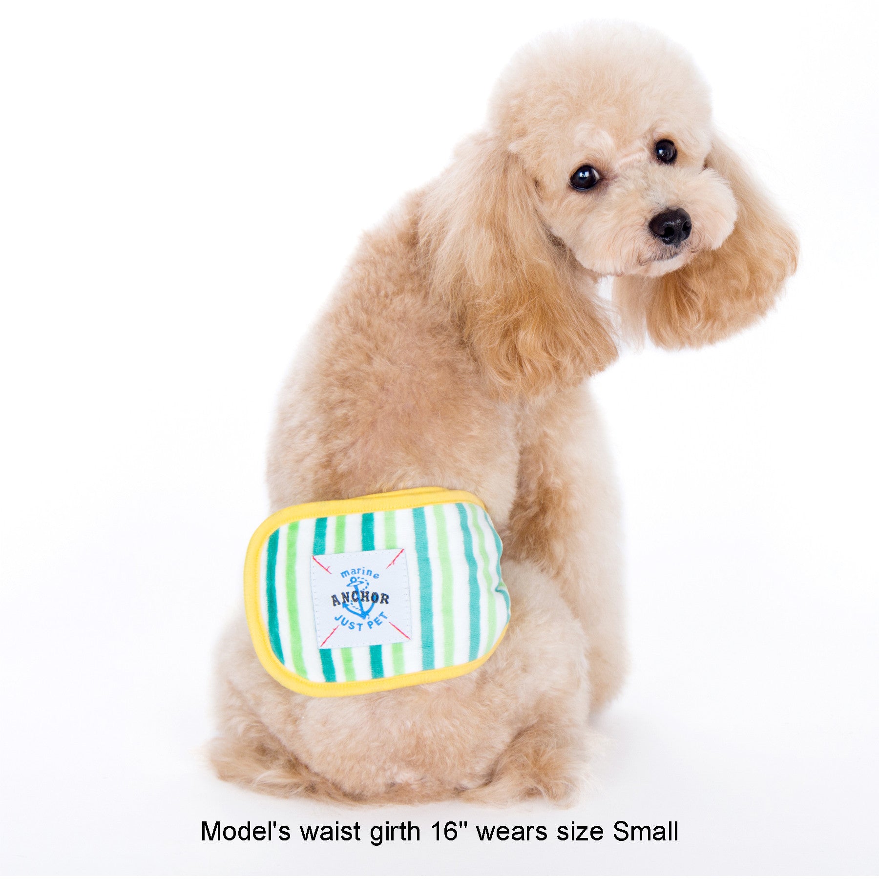 Gaki Belly Band Yellow