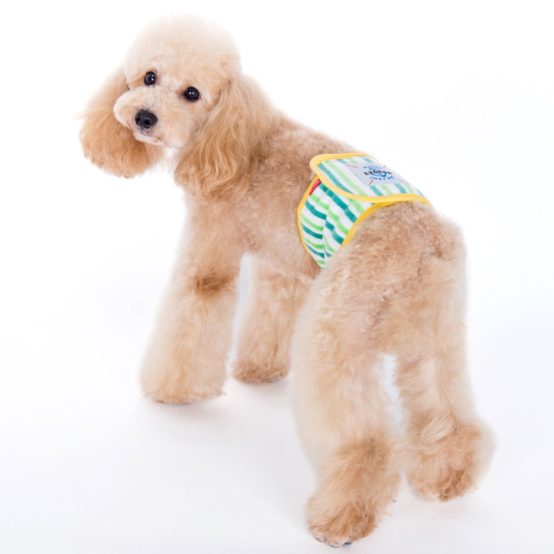 Gaki Belly Band Yellow