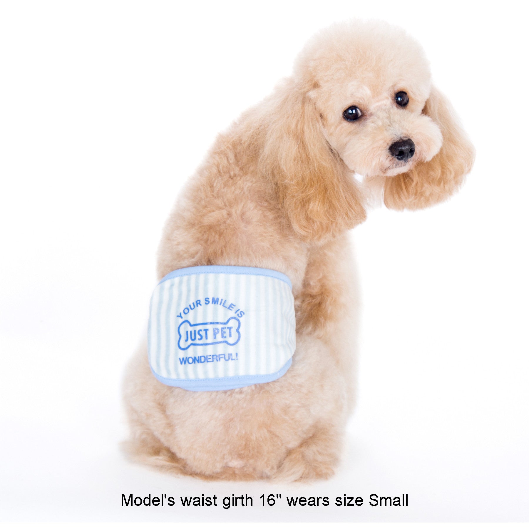 Gaki Belly Band Light Blue