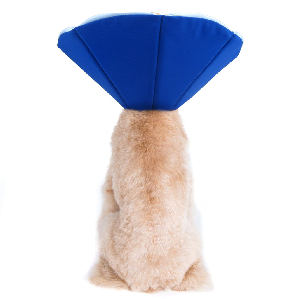 Keeva Recovery Collar Blue
