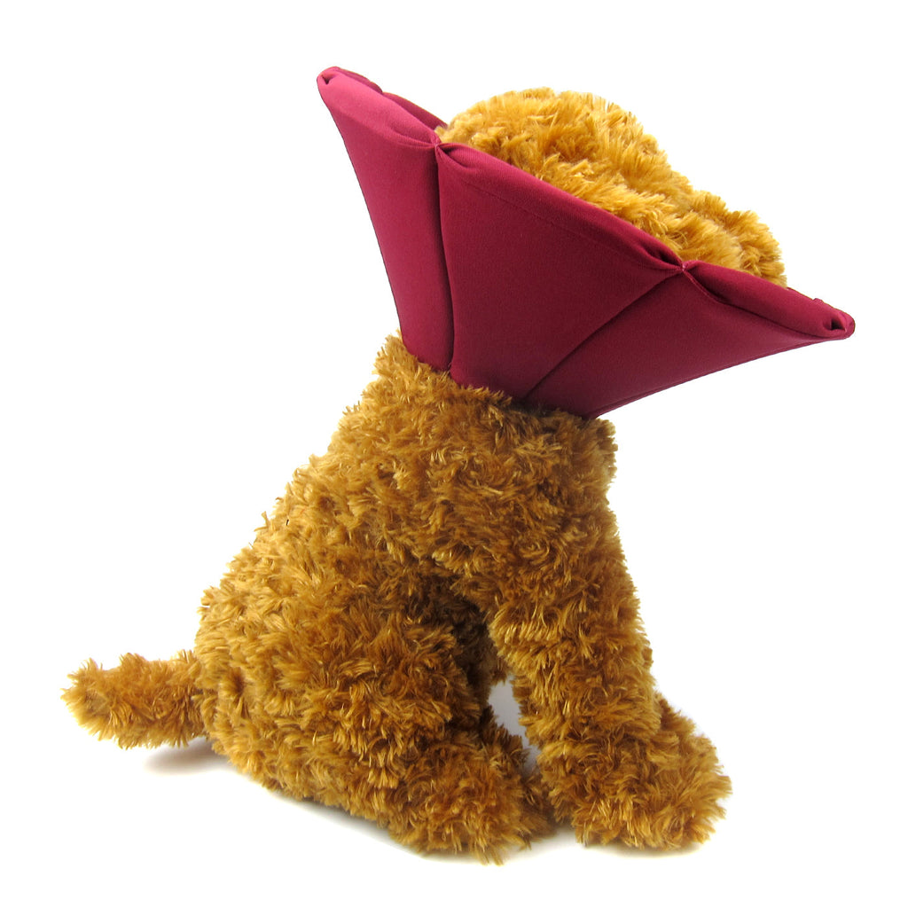 Keeva Recovery Collar