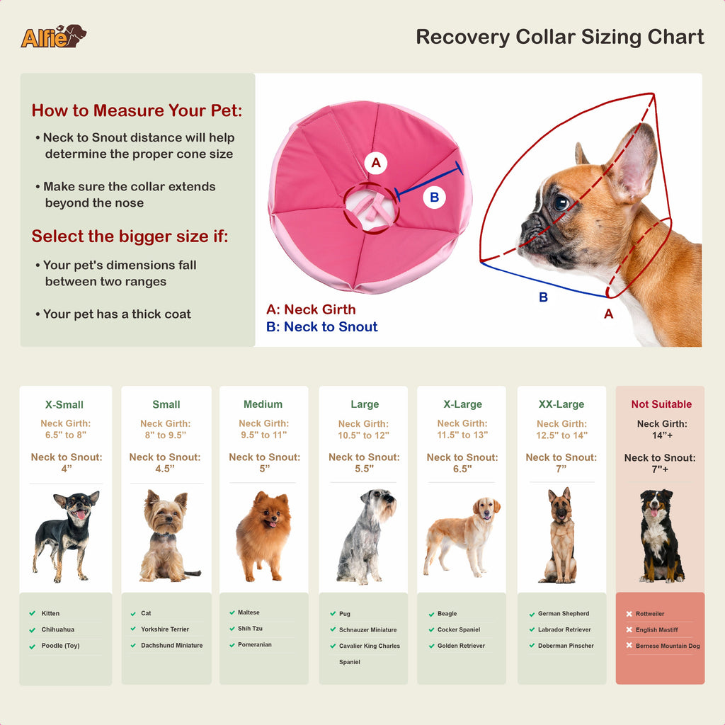 Keeva Recovery Collar Pink