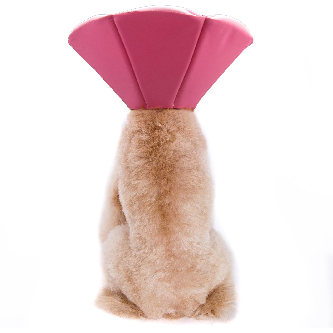 Keeva Recovery Collar Pink