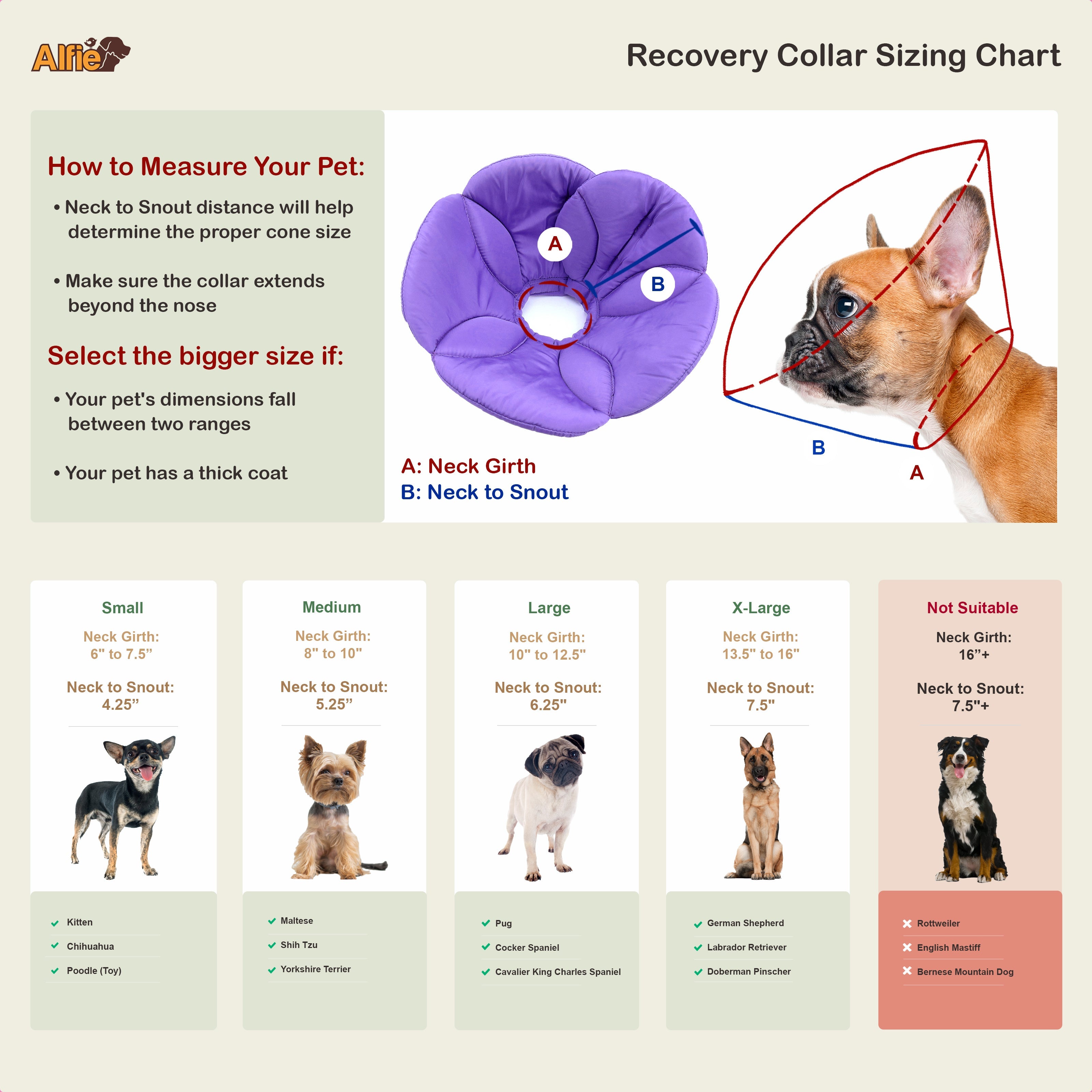 Kora Recovery Collar Purple