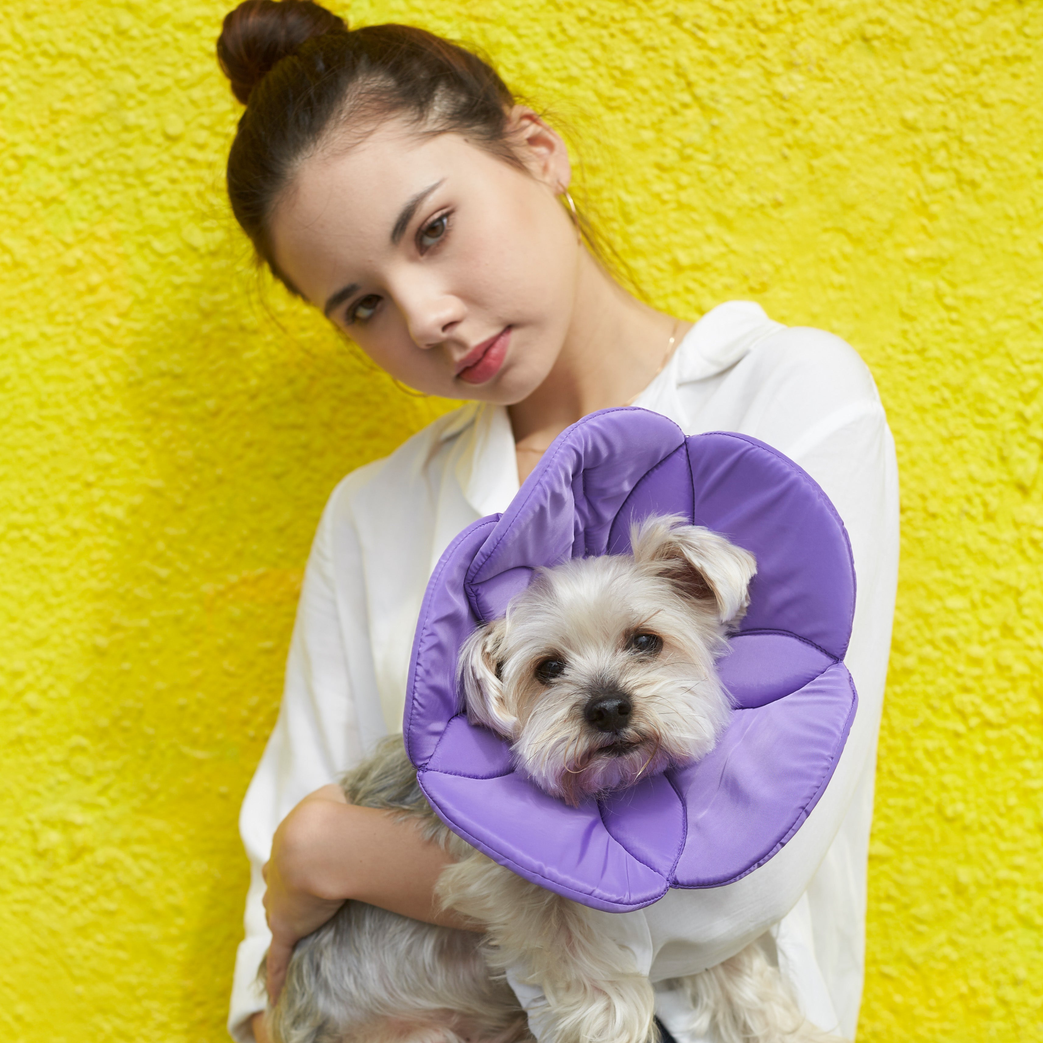 Kora Recovery Collar Purple