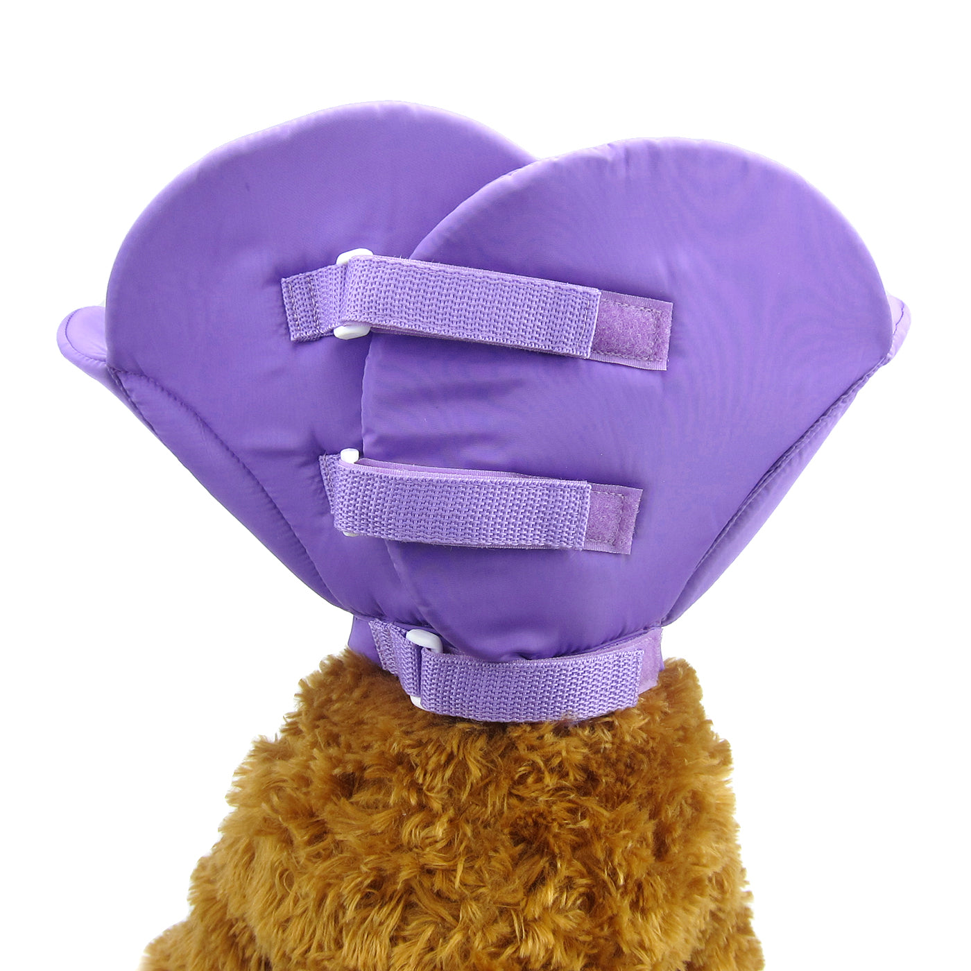 Kora Recovery Collar Purple