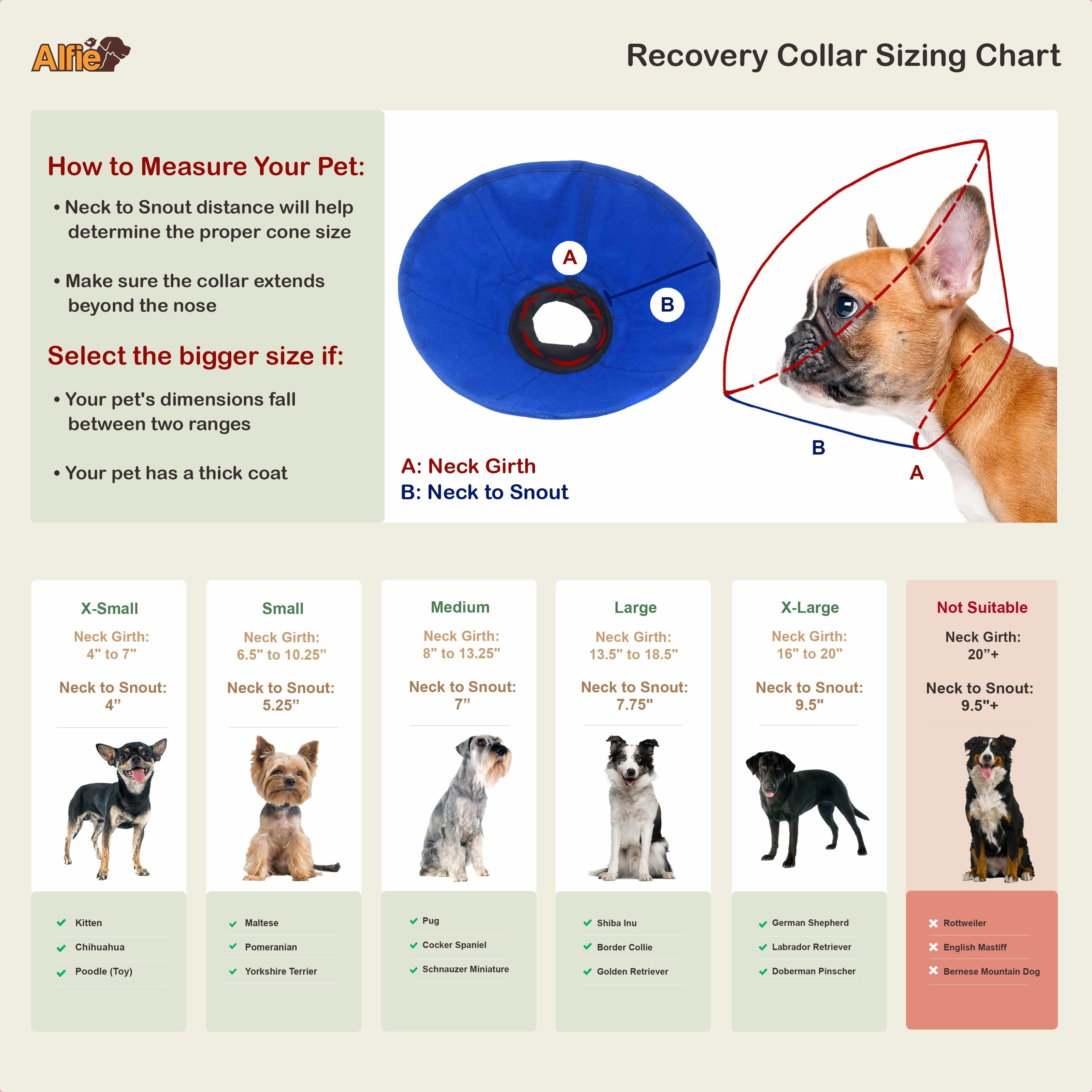 Cobalt Recovery Collar