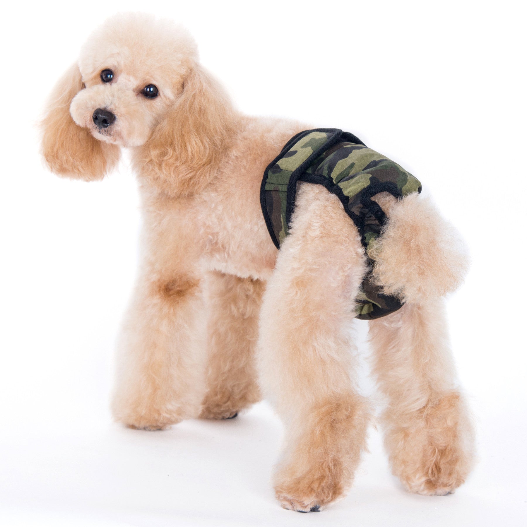 Max Sanitary Pantie Green