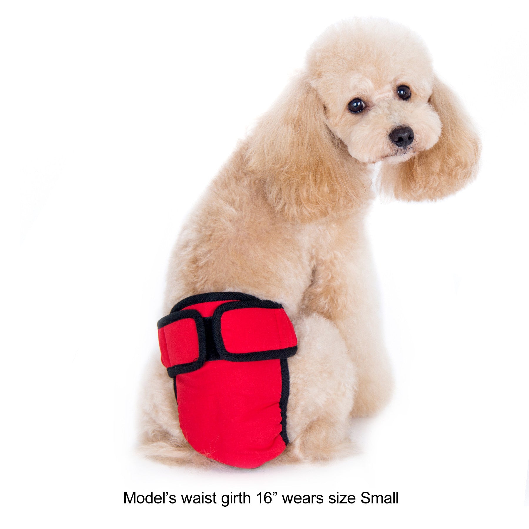 Max Sanitary Pantie Red