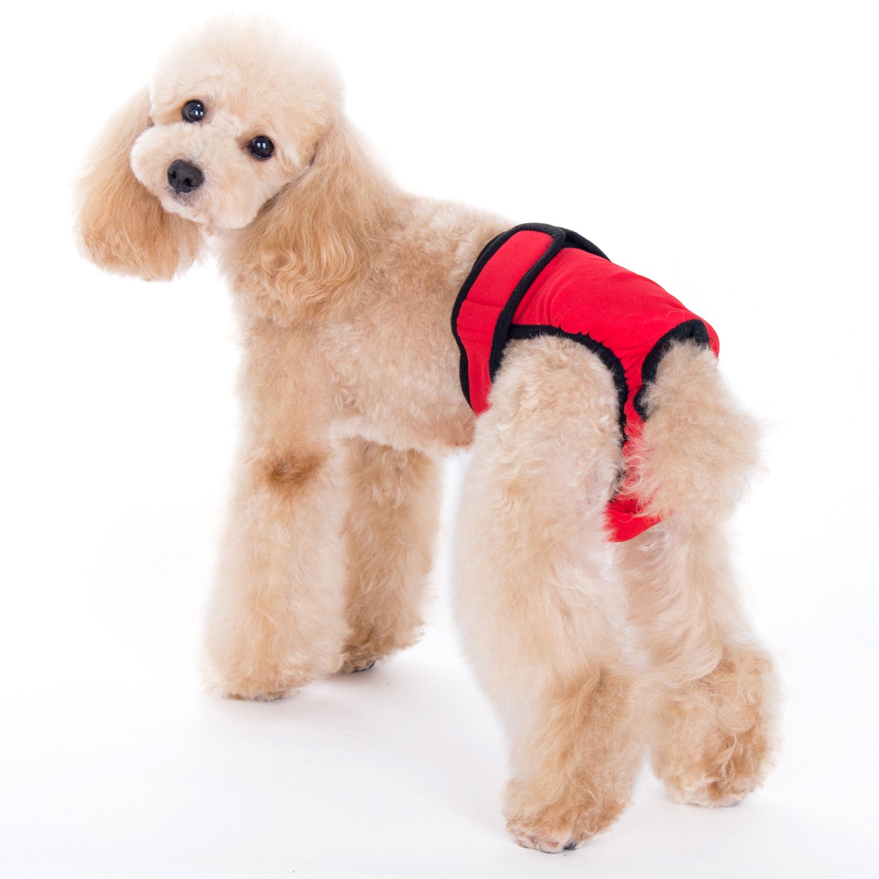 Max Sanitary Pantie Red