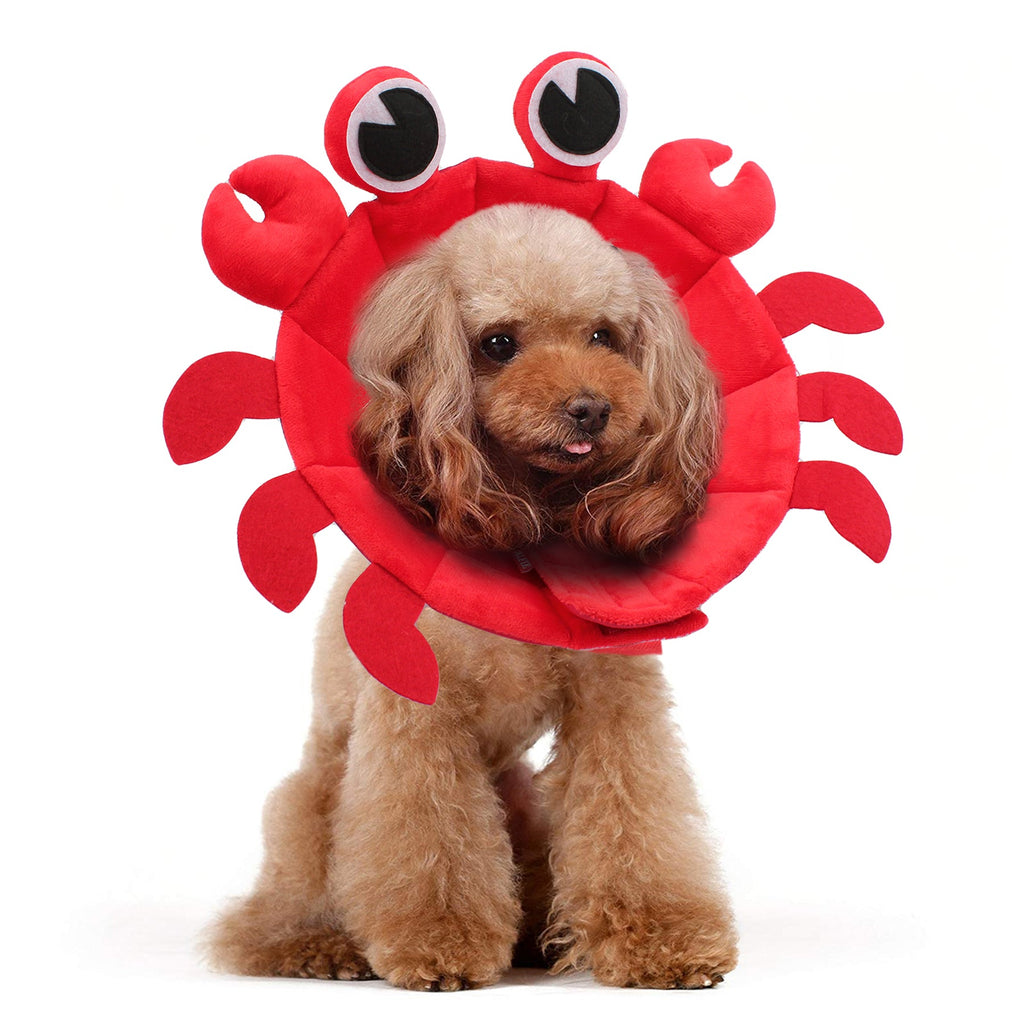 Noah Crab Recovery Collar
