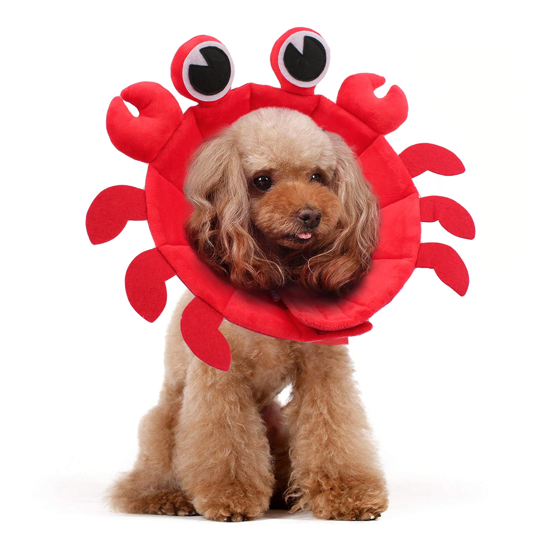 Noah Crab Recovery Collar