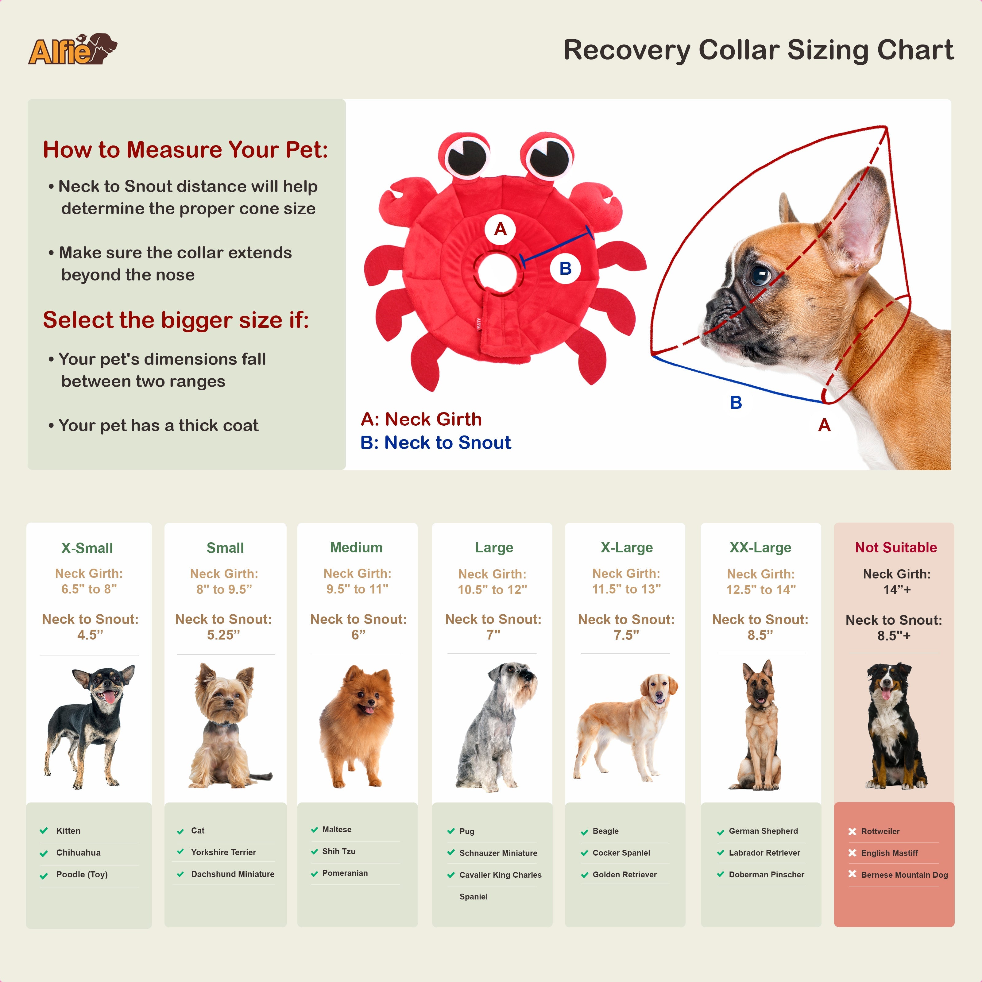 Noah Crab Recovery Collar