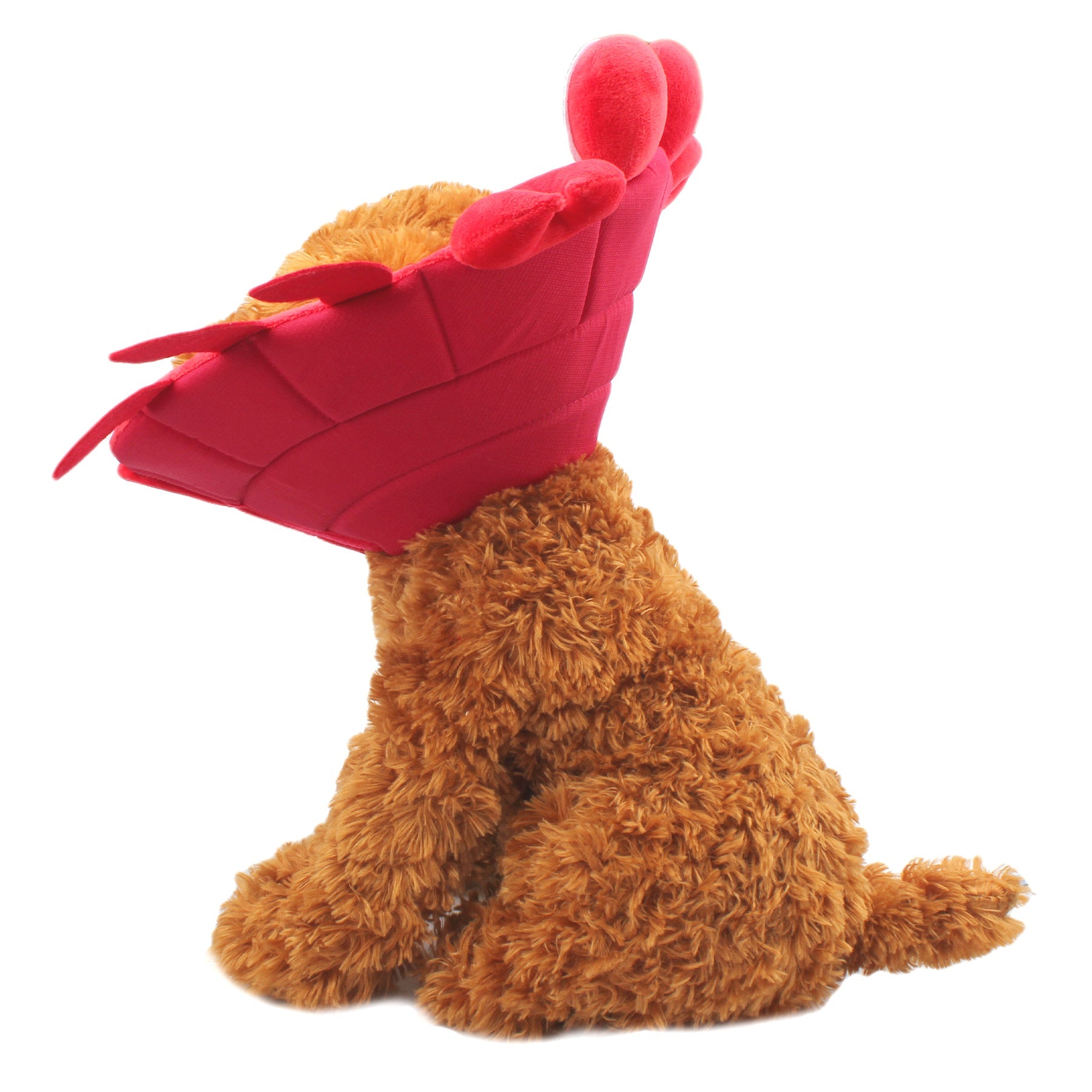 Noah Crab Recovery Collar