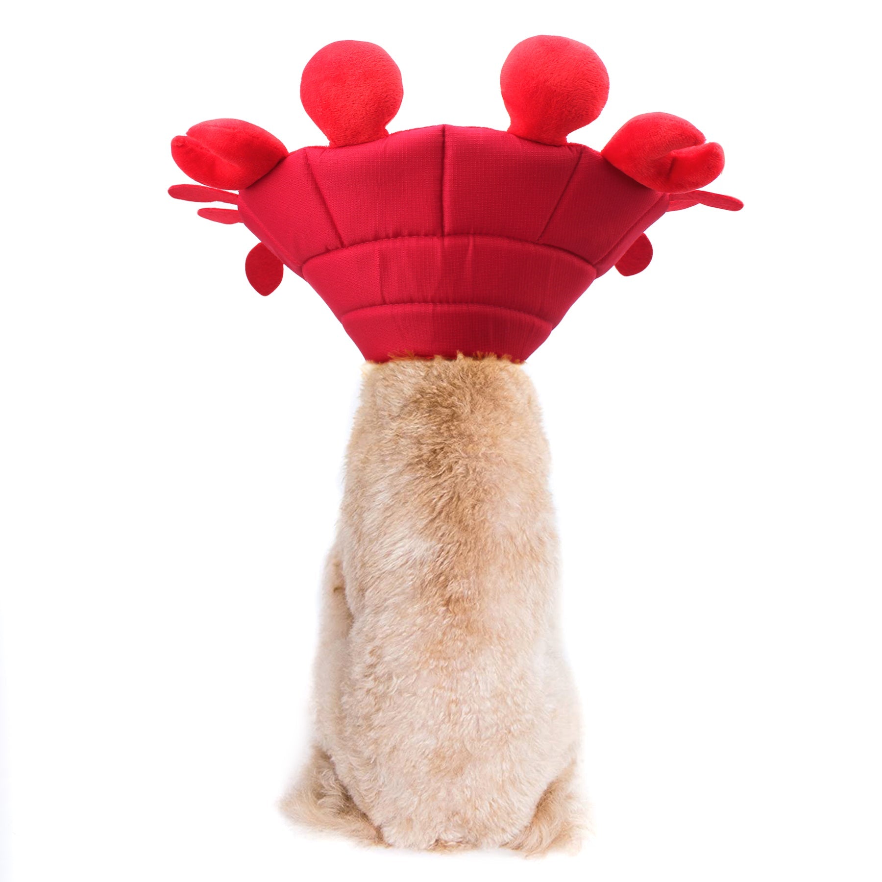 Noah Crab Recovery Collar