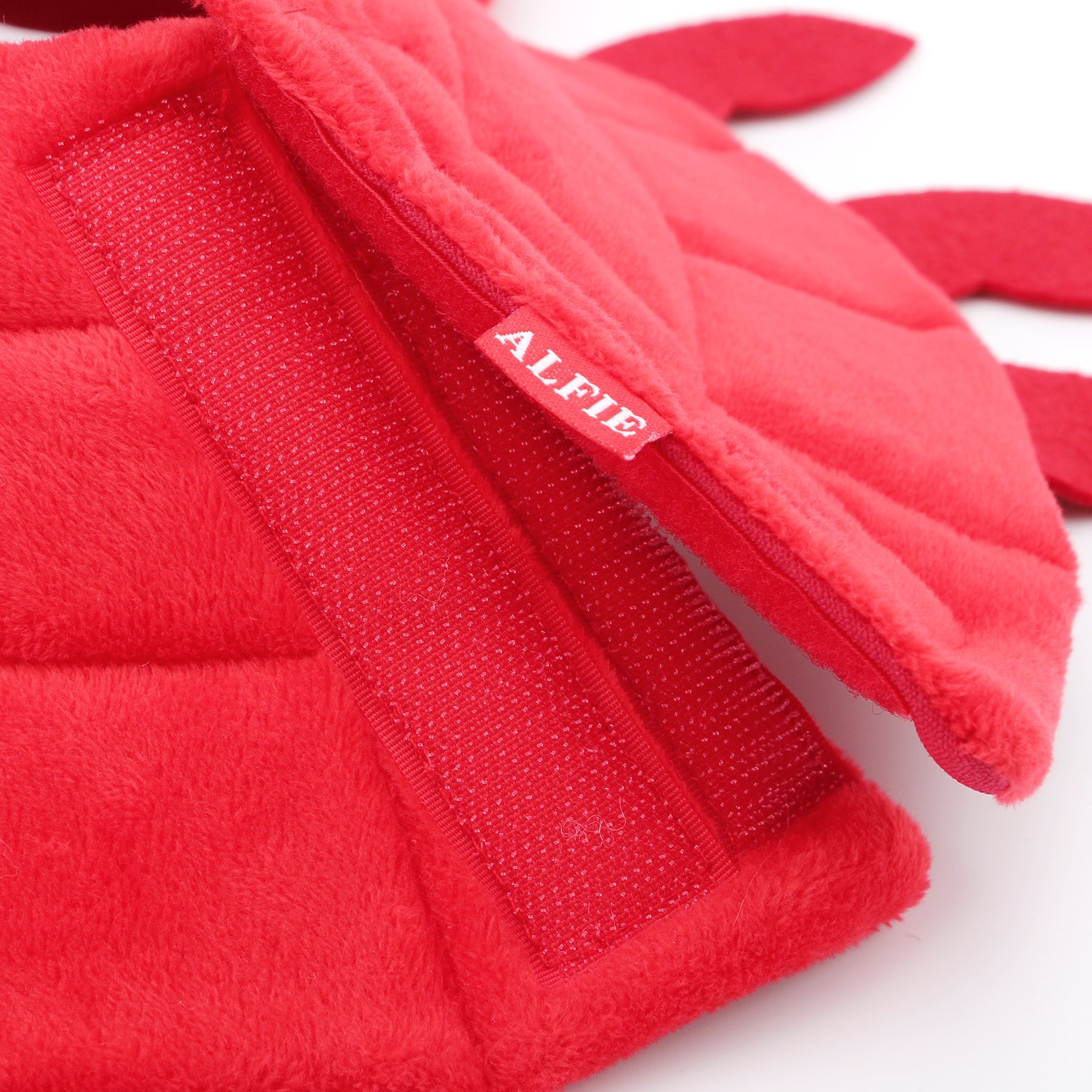 Noah Crab Recovery Collar