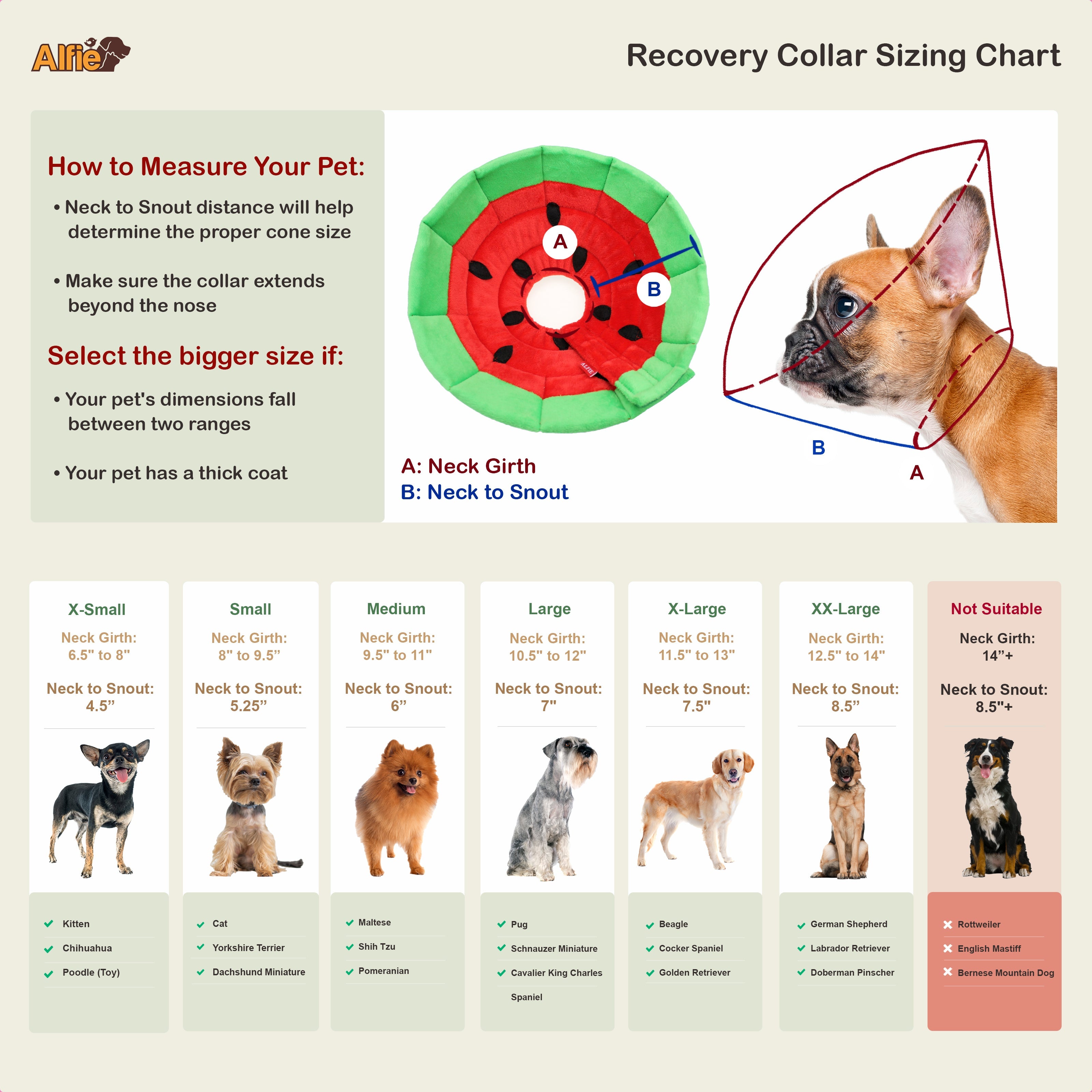 Marcos Watermelon Recovery Collar