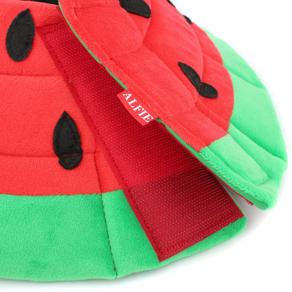 Marcos Watermelon Recovery Collar