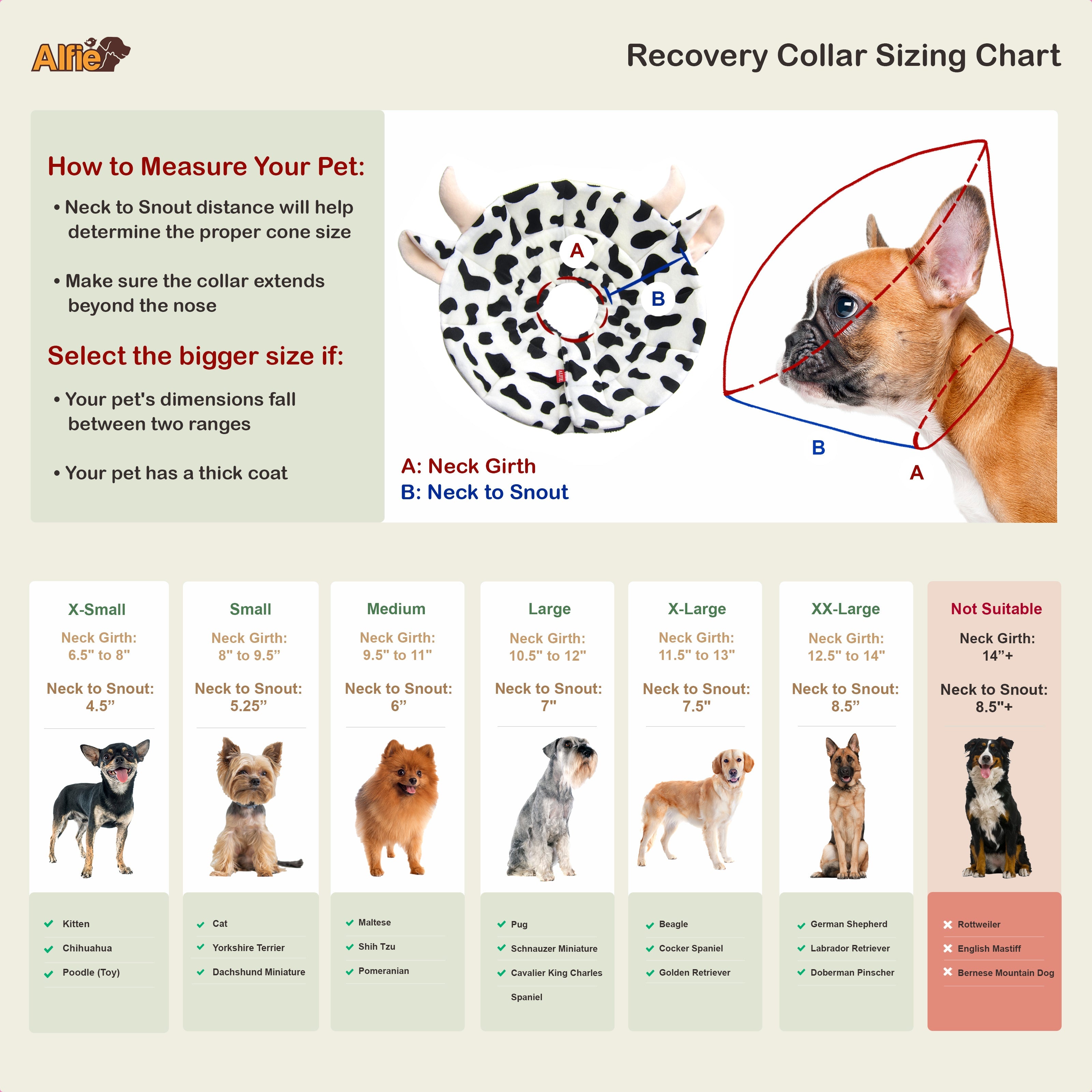 Noah Cow Recovery Collar