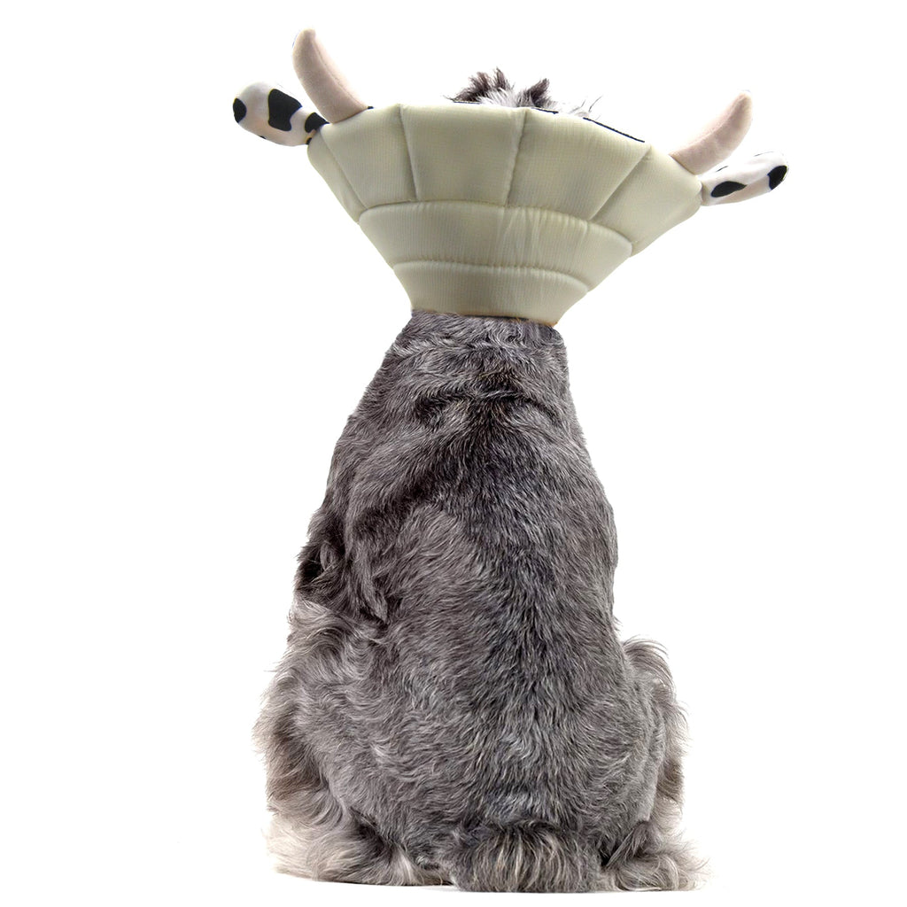 Noah Cow Recovery Collar