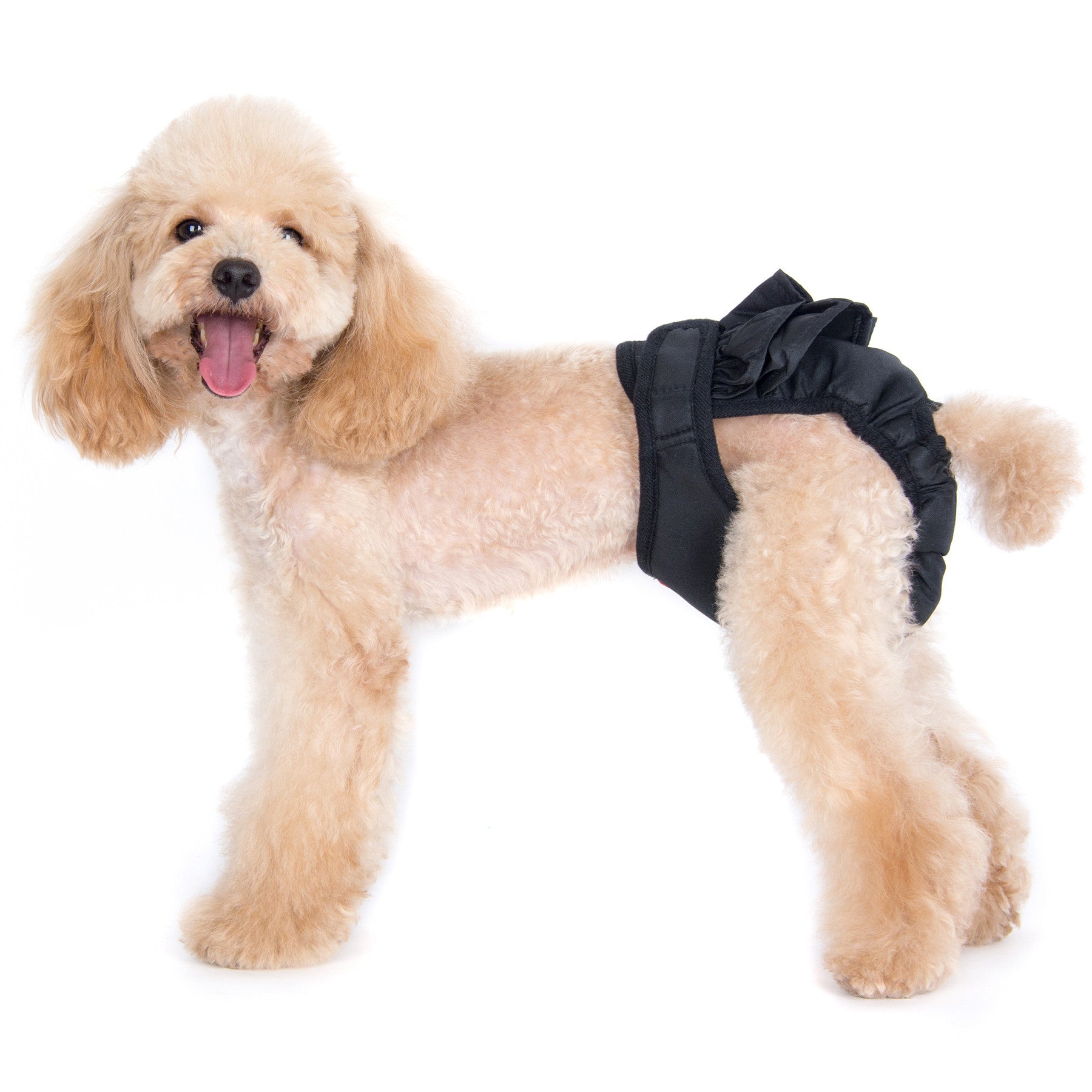 Maxine Sanitary 3-Piece Set Pantie with Velcro Closure