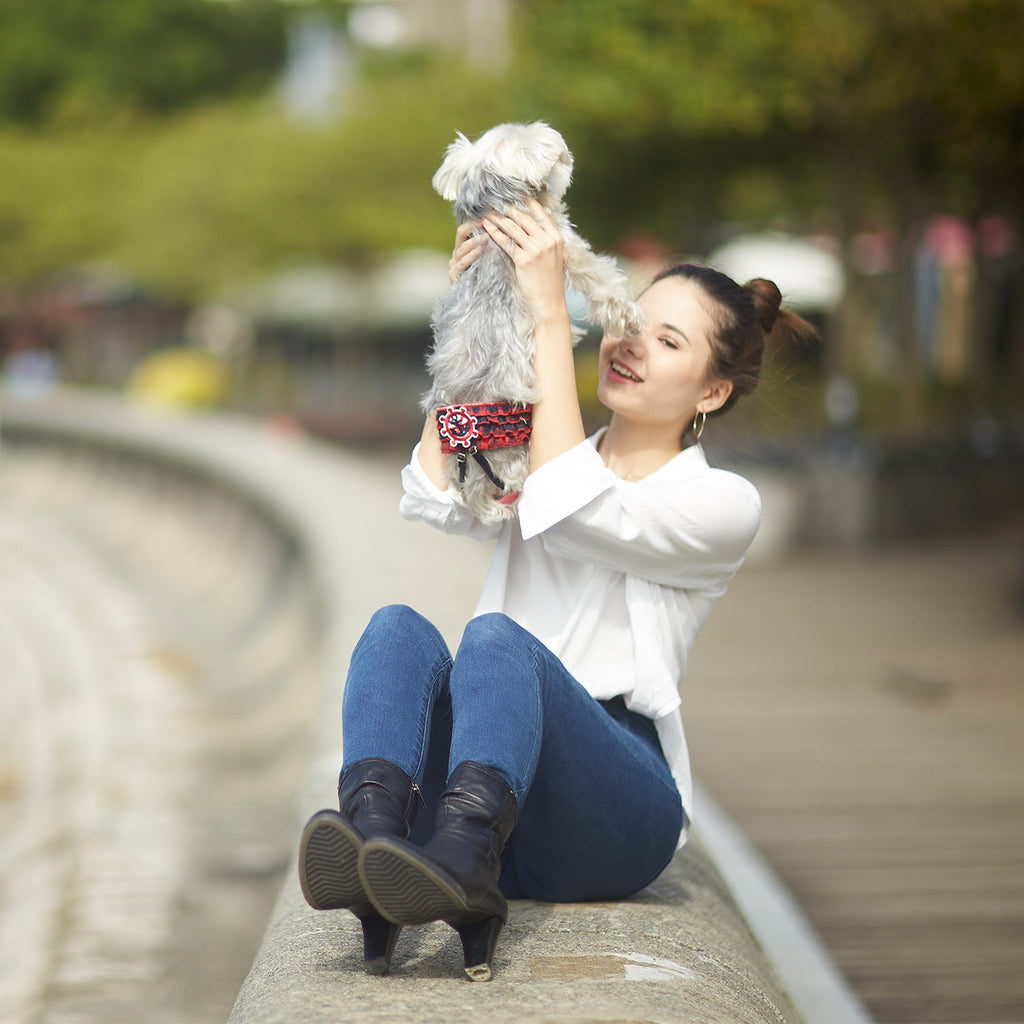 Mia Sanitary Pantie Red Plaid