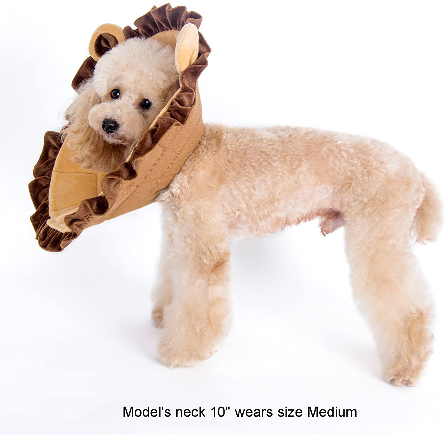 Noah 3-Piece Set Cow. Frog and Lion Recovery Collar