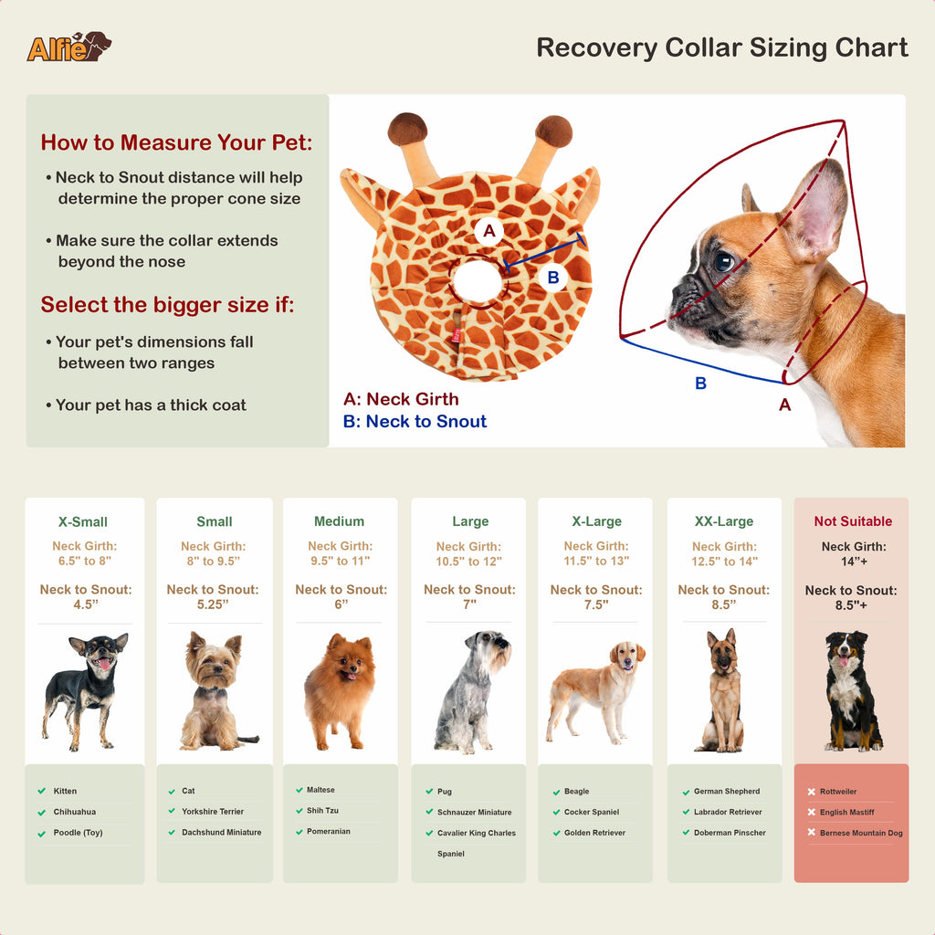 Noah Giraffe Recovery Collar
