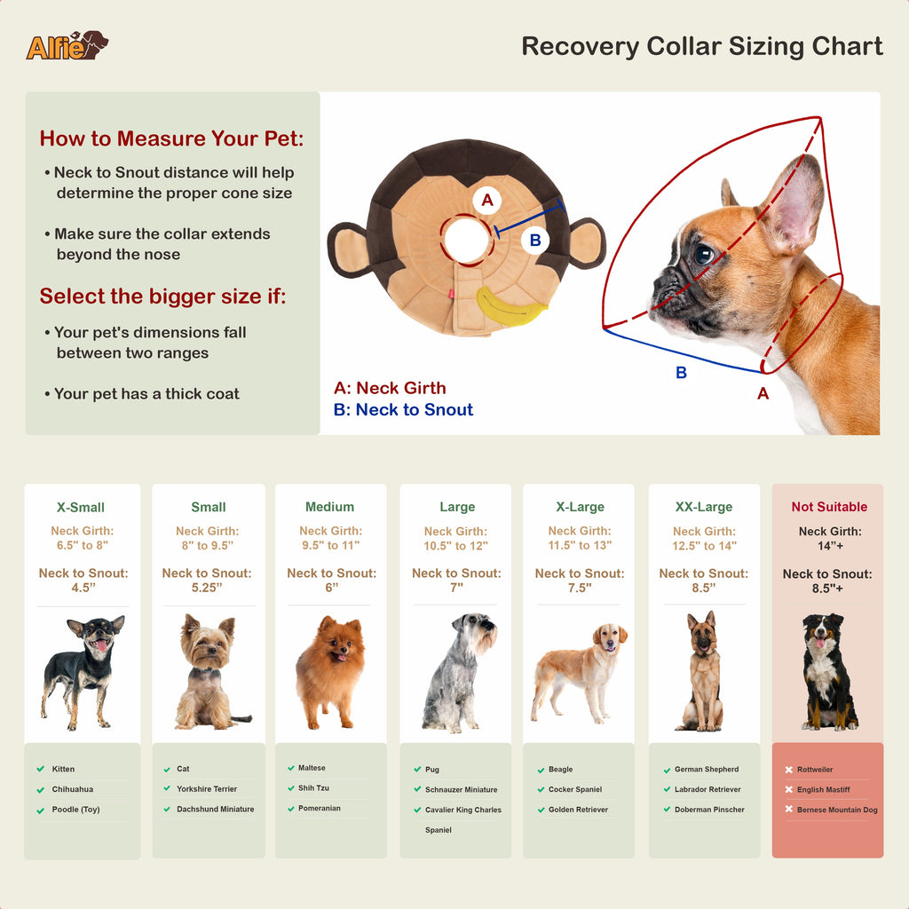 Noah  Monkey Recovery Collar