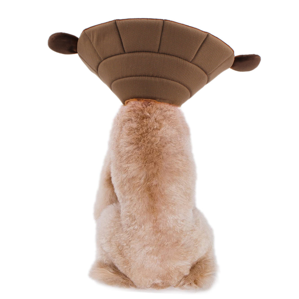 Noah  Monkey Recovery Collar