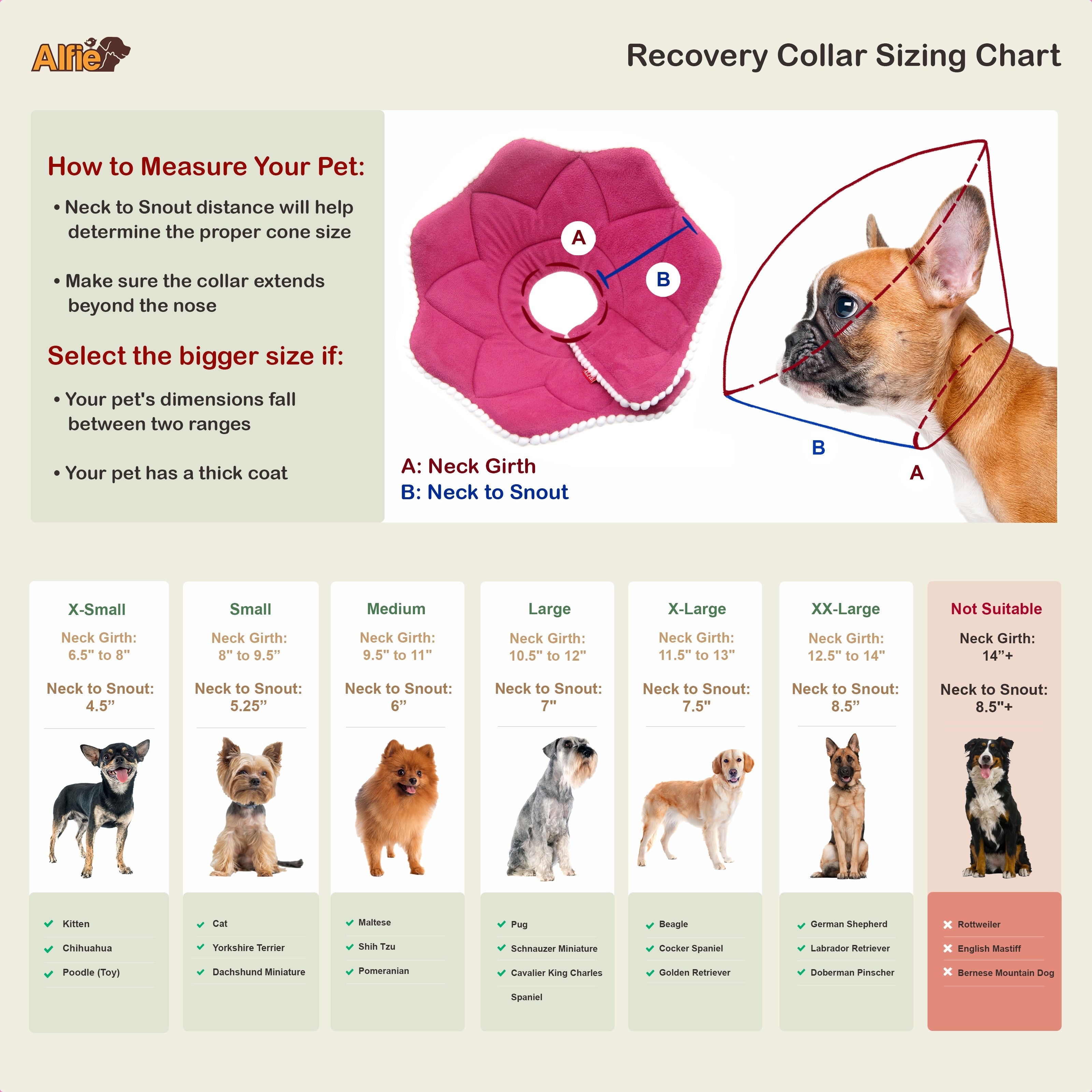 Noel Pink PomPom Recovery Collar