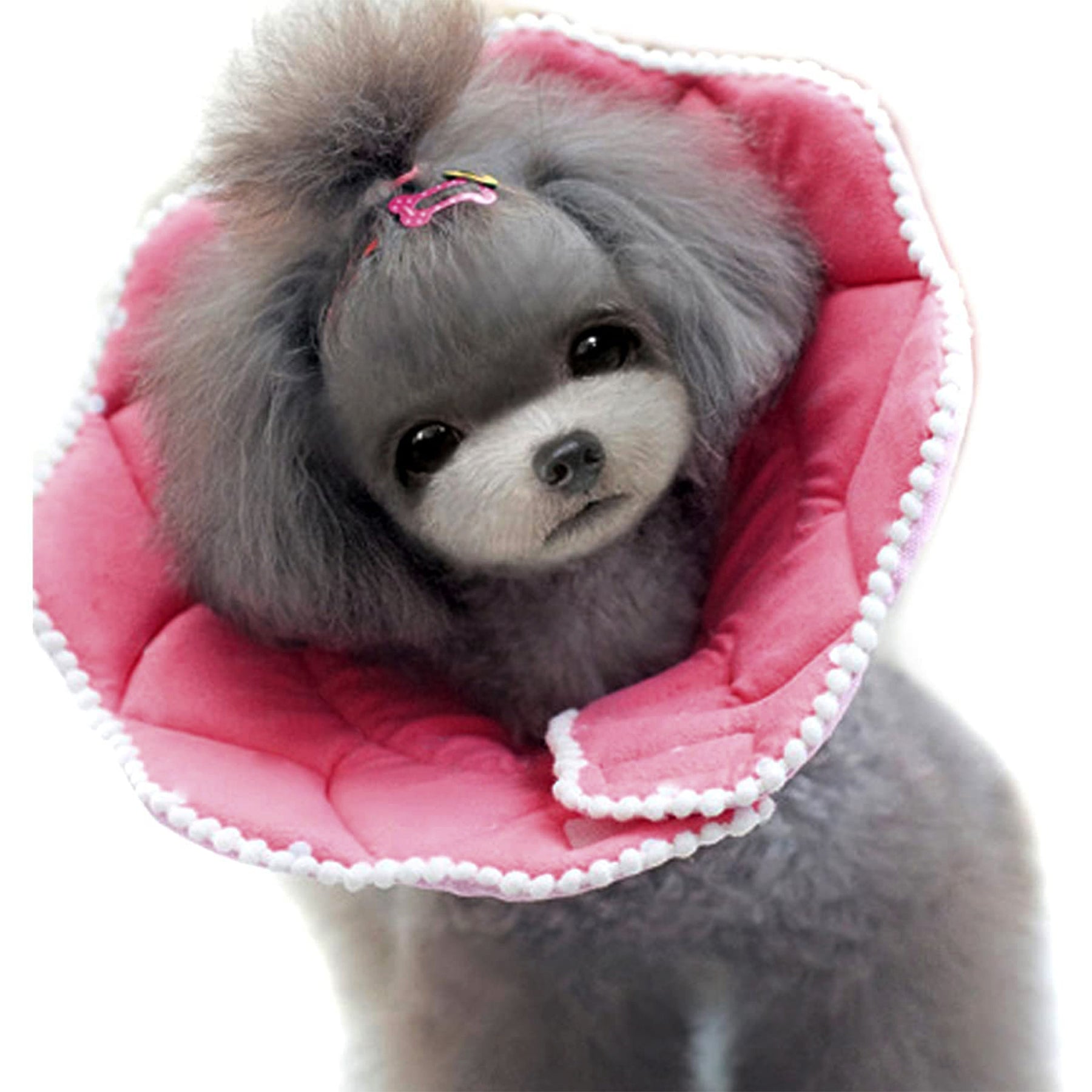 Noel Pink PomPom Recovery Collar