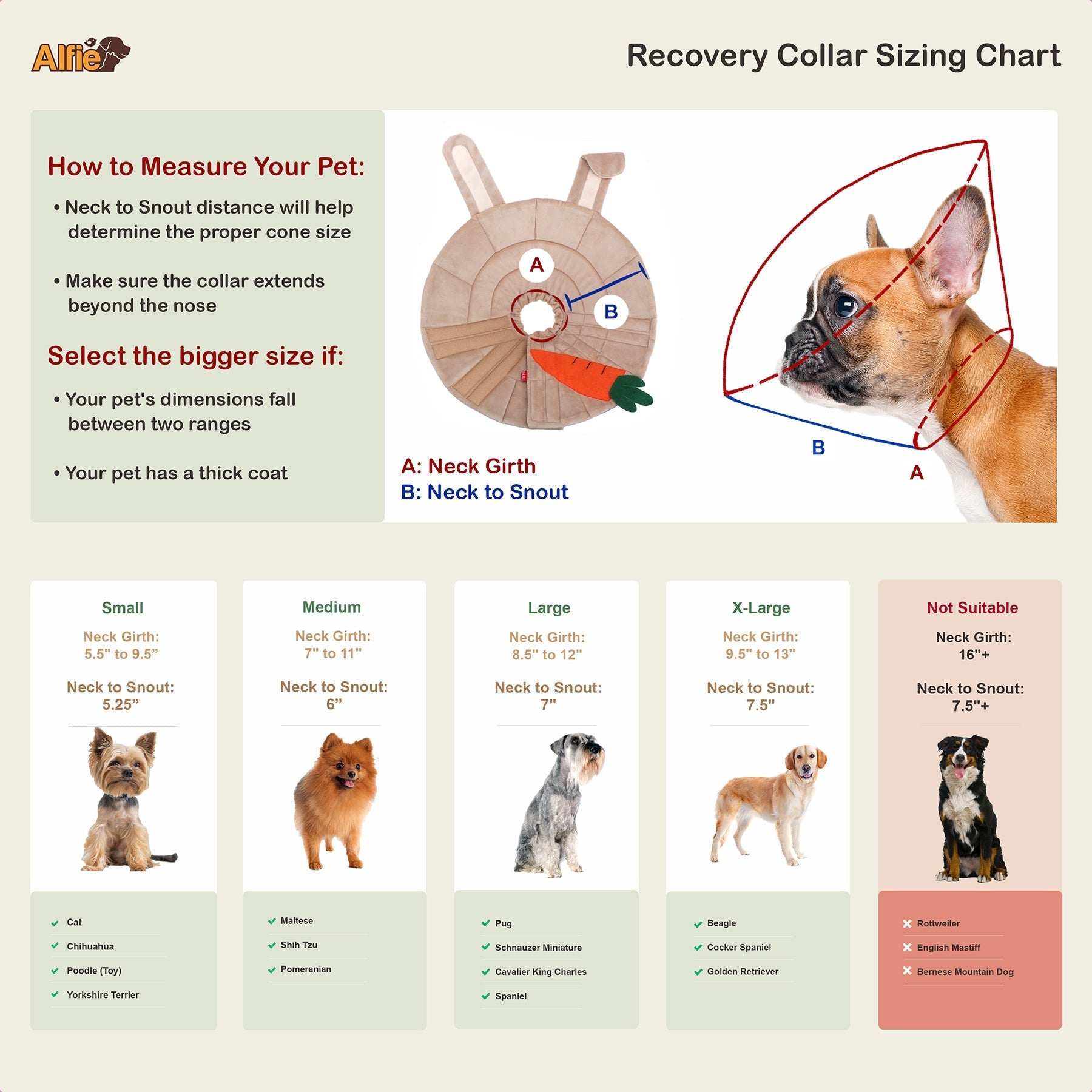 Noah Rabbit Recovery Collar