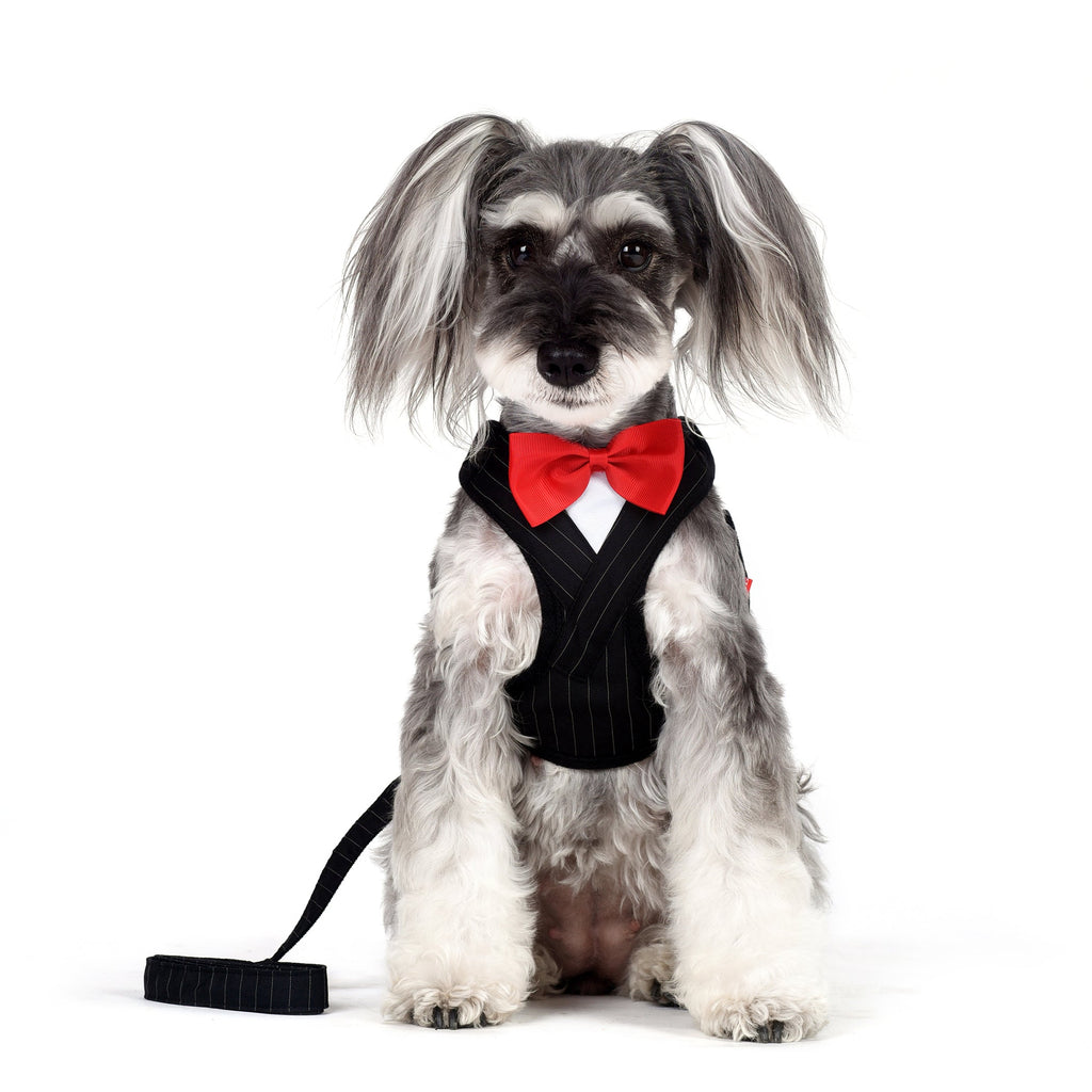 Oliver Step-in Harness and Leash Set