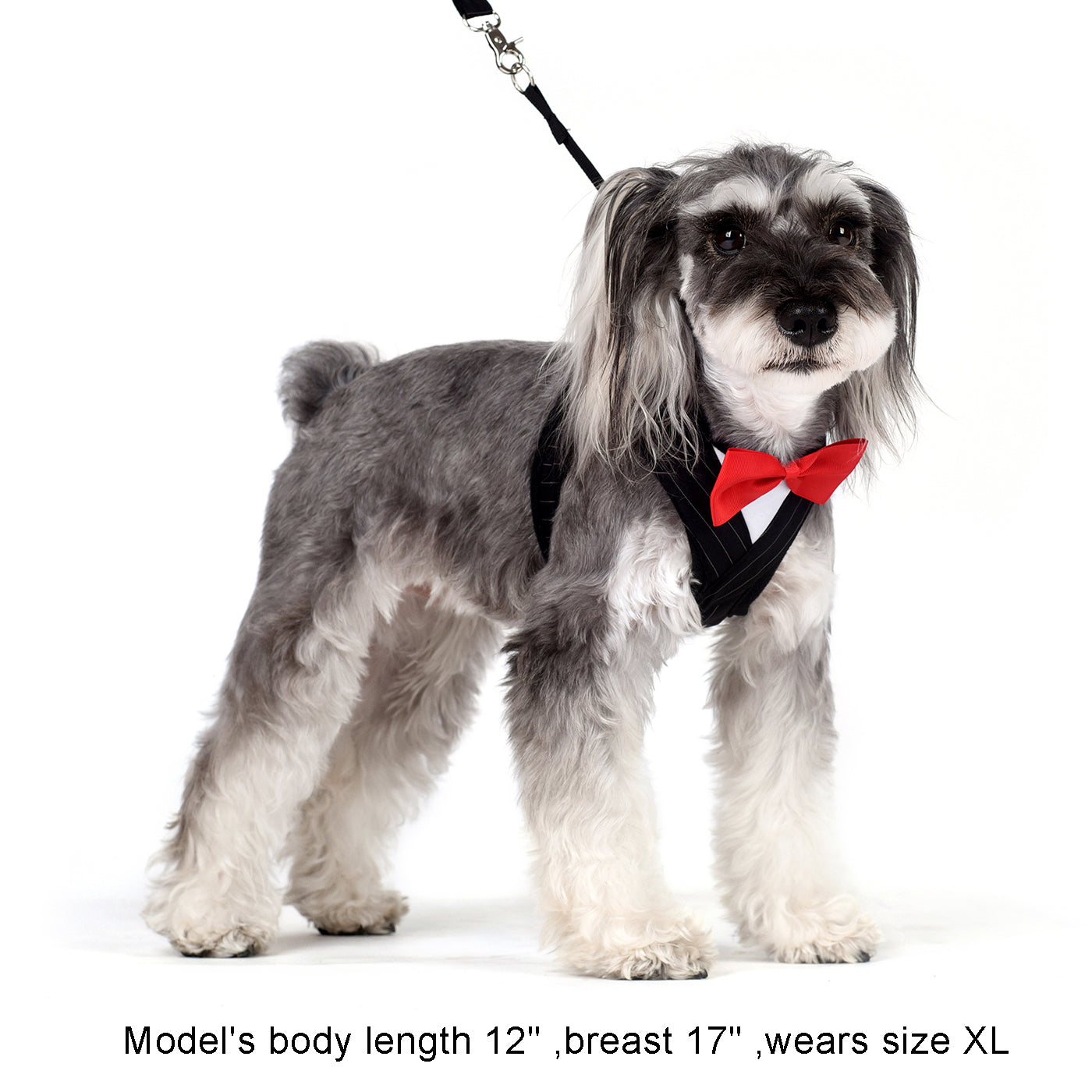 Oliver Step-in Harness and Leash Set