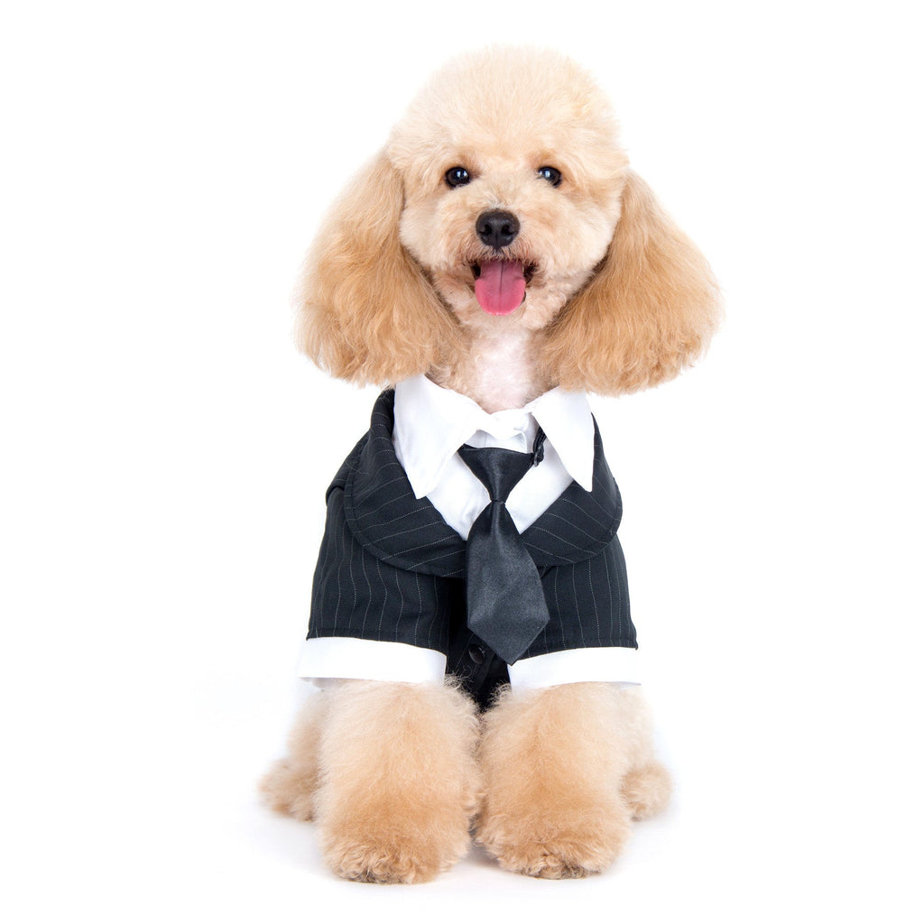 Oscar Formal Black Tuxedo with Black Tie and Red Bow Tie