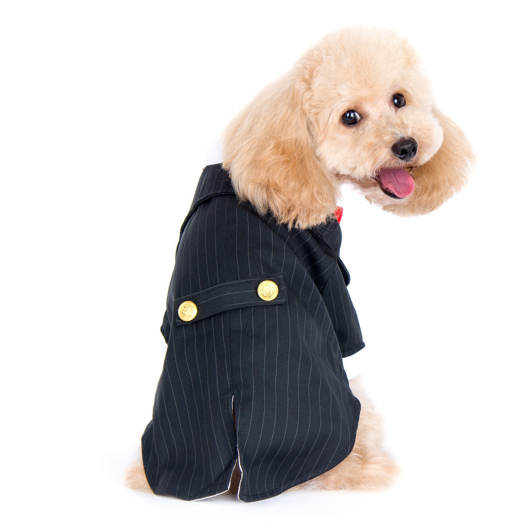 Oscar Formal Black Tuxedo with Black Tie and Red Bow Tie