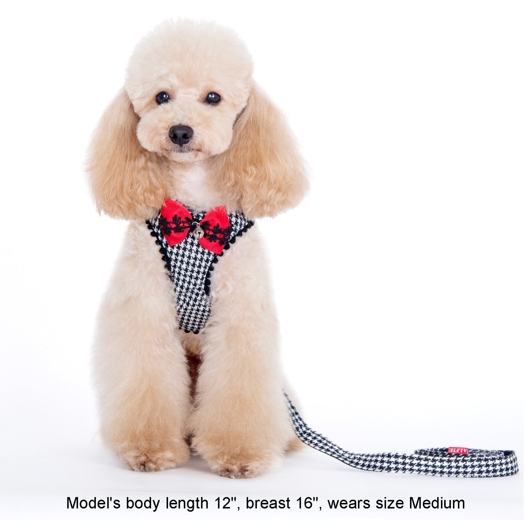 Shayne Step-in Harness and Leash Set