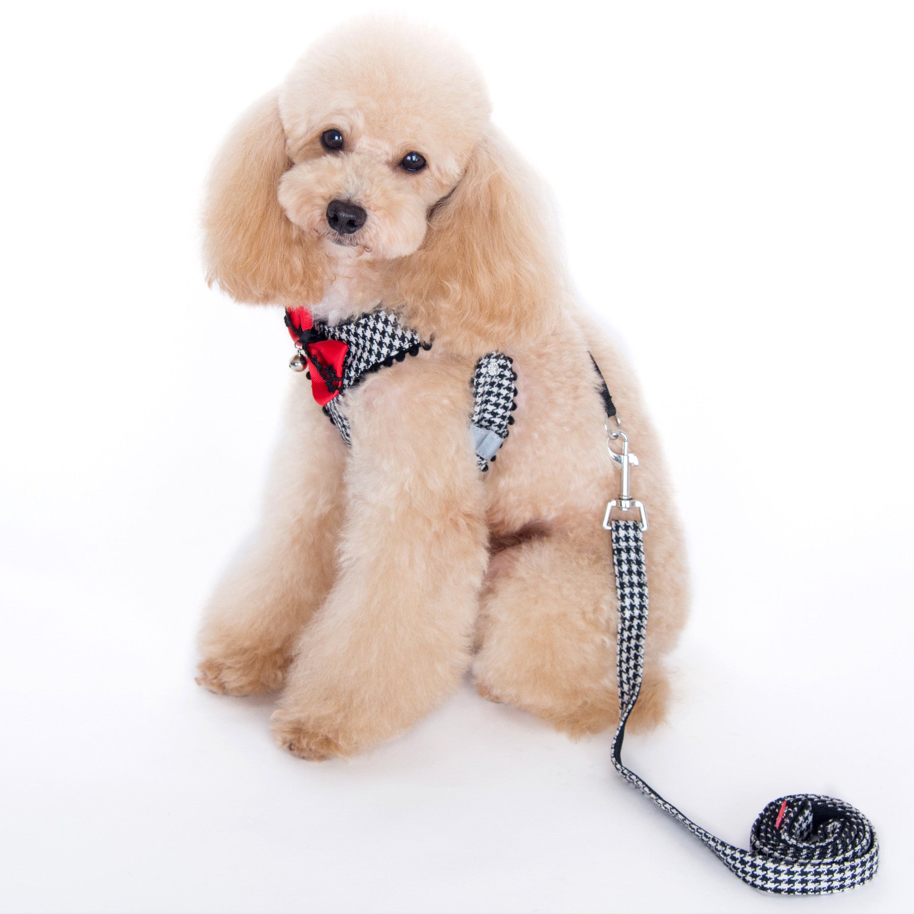 Shayne Step-in Harness and Leash Set