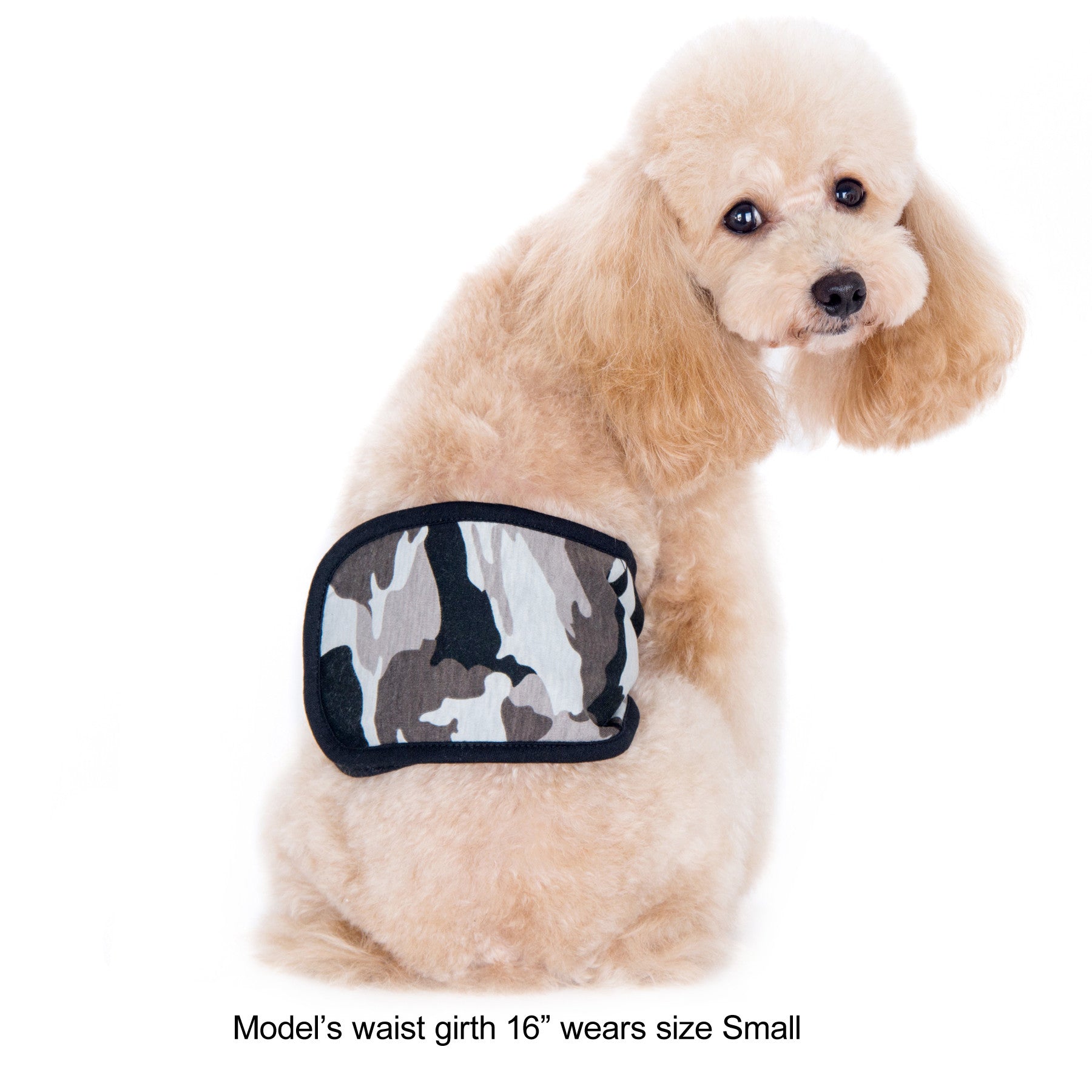 Tad Belly Band Black